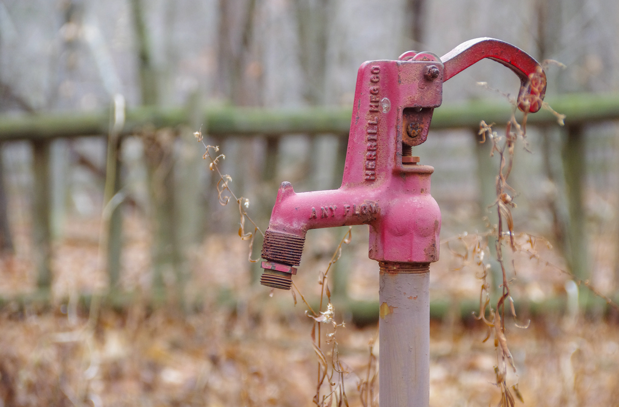 Pentax K-5 + Sigma 18-200mm F3.5-6.3 II DC OS HSM sample photo. Faucet photography