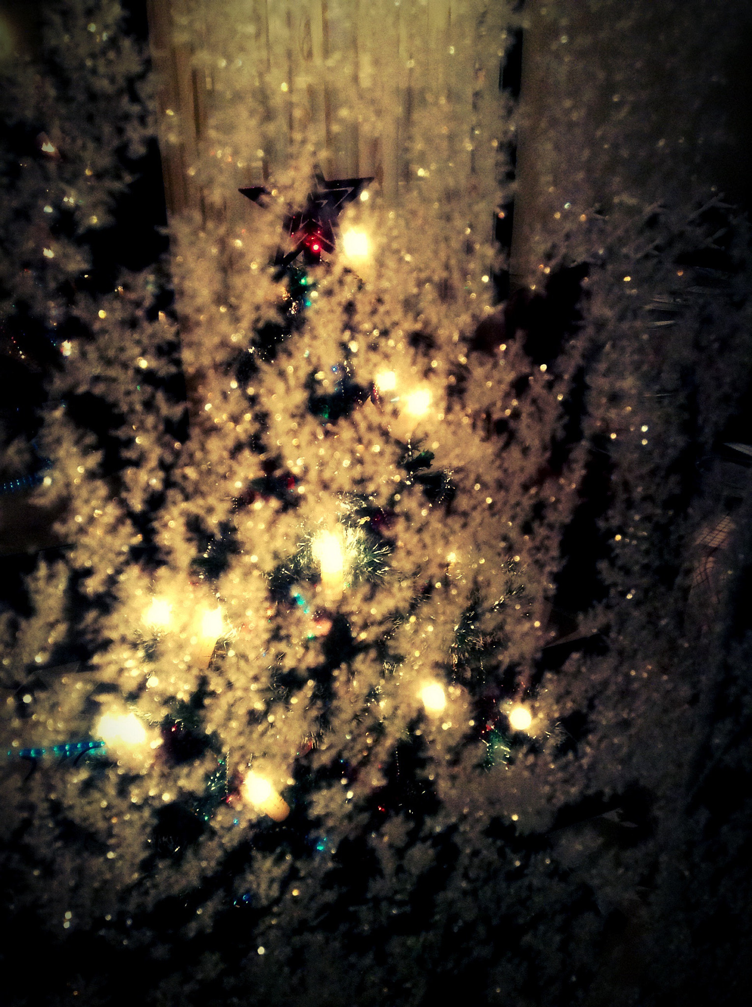 Blux Touch Blux Camera V1.1 sample photo. Christmas tree photography