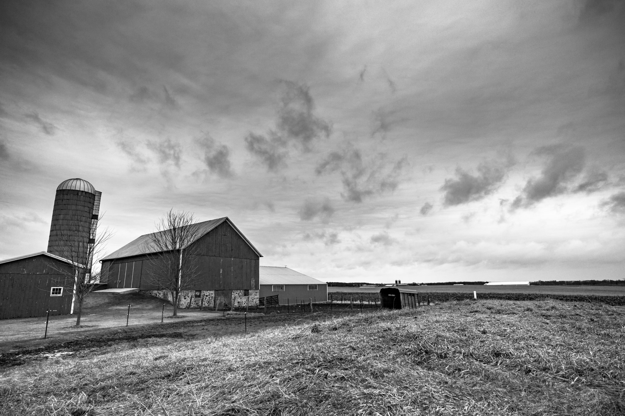 ZEISS Touit 12mm F2.8 sample photo. (black and) white christmas photography