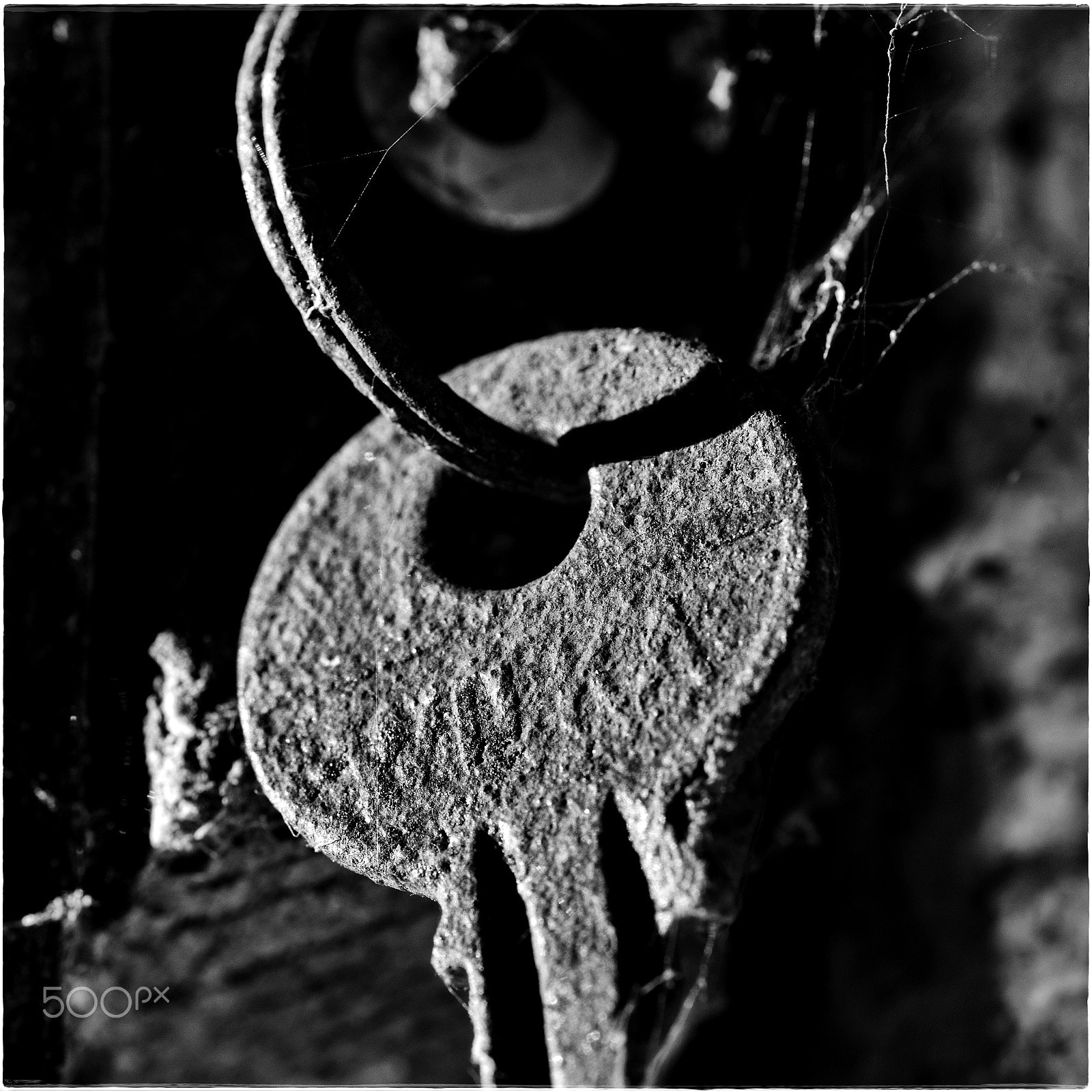 Nikon D5500 + 105mm F2.8 sample photo. The forgotten key photography