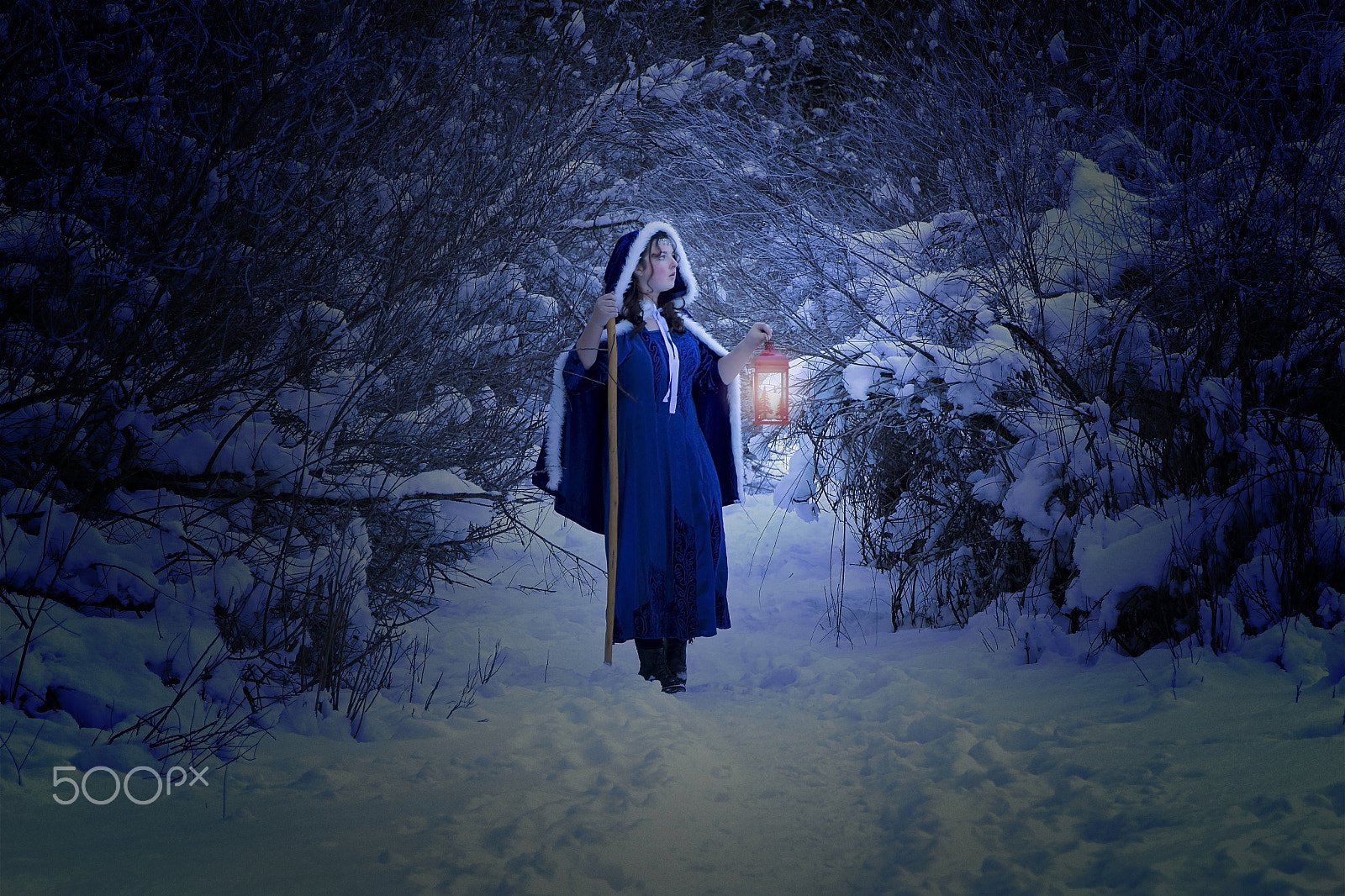 Canon EOS 650D (EOS Rebel T4i / EOS Kiss X6i) sample photo. Wandering through narnia photography
