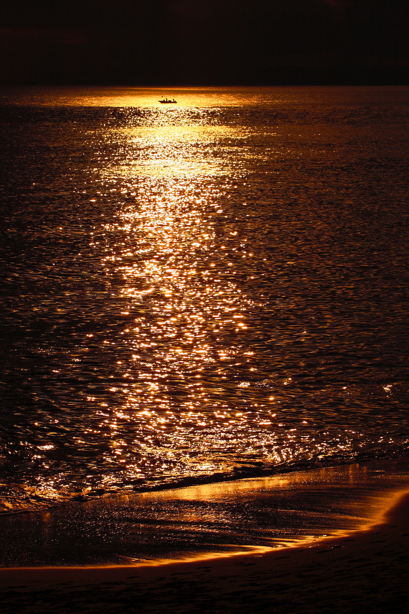 Canon EOS-1D Mark III sample photo. Shichirigahama photography