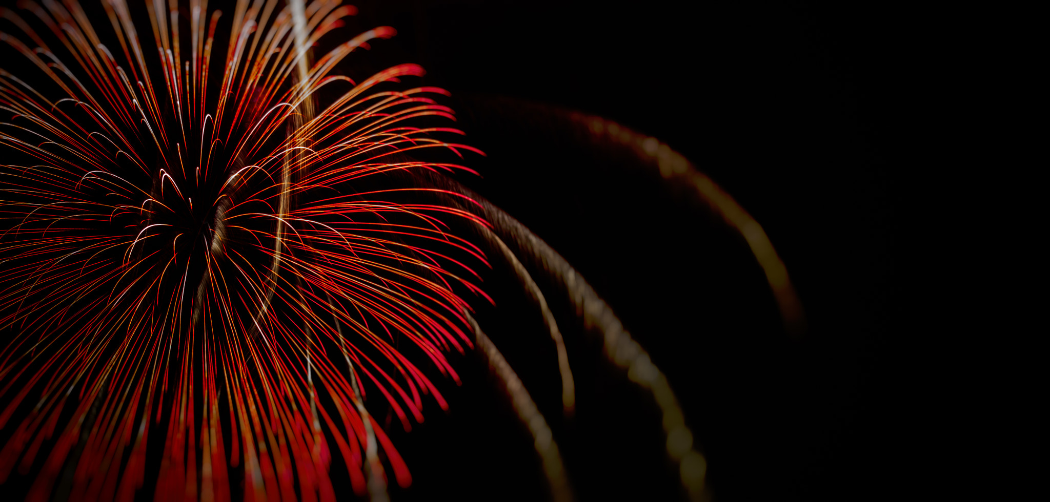 Canon EF 16-35mm F2.8L USM sample photo. Happy new year photography