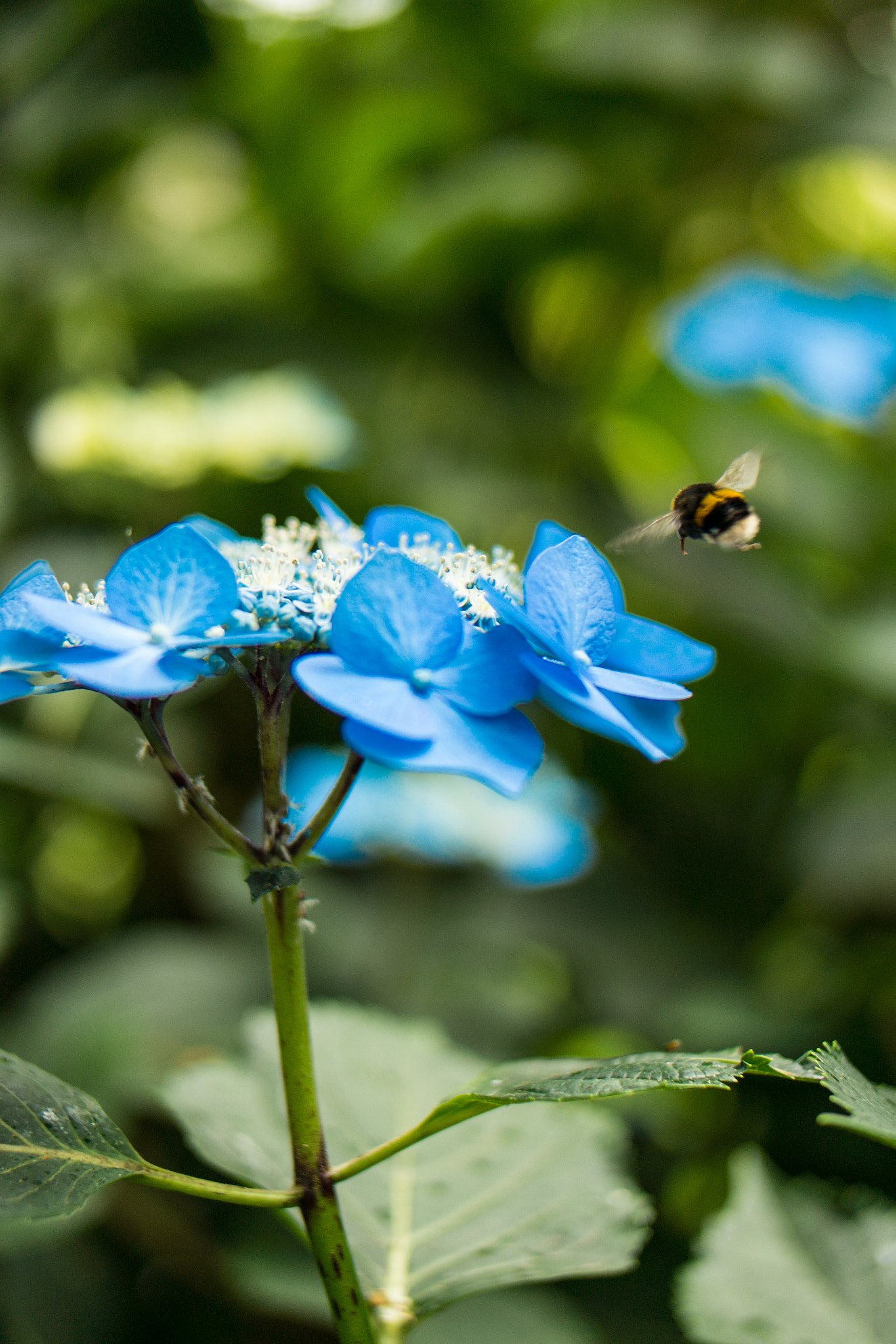 Samsung NX300 + NX 45mm F1.8 [T6] 2D/3D sample photo. Final approach photography