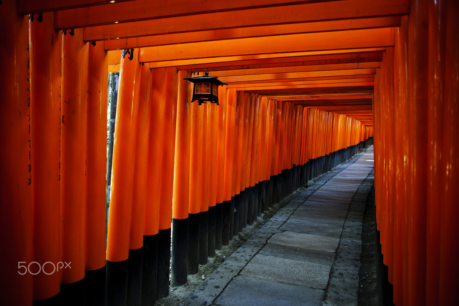 Nikon D3S + Nikon AF Nikkor 24mm F2.8D sample photo. Fushimi inari shrine photography