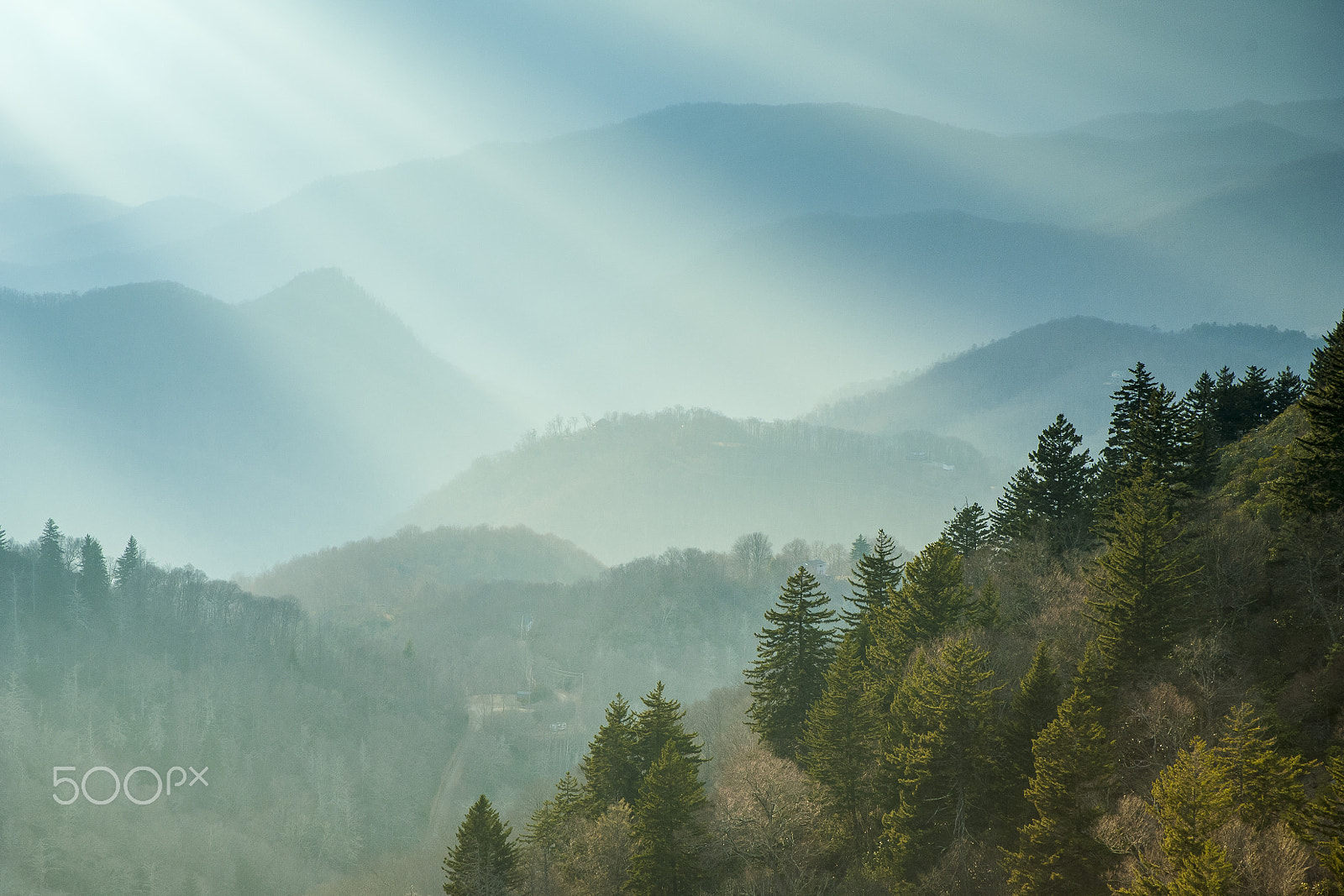 Nikon D2Xs sample photo. Blue ridge parkway nc blue light special photography