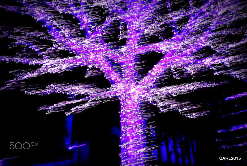 Nikon D60 sample photo. Purple haze photography