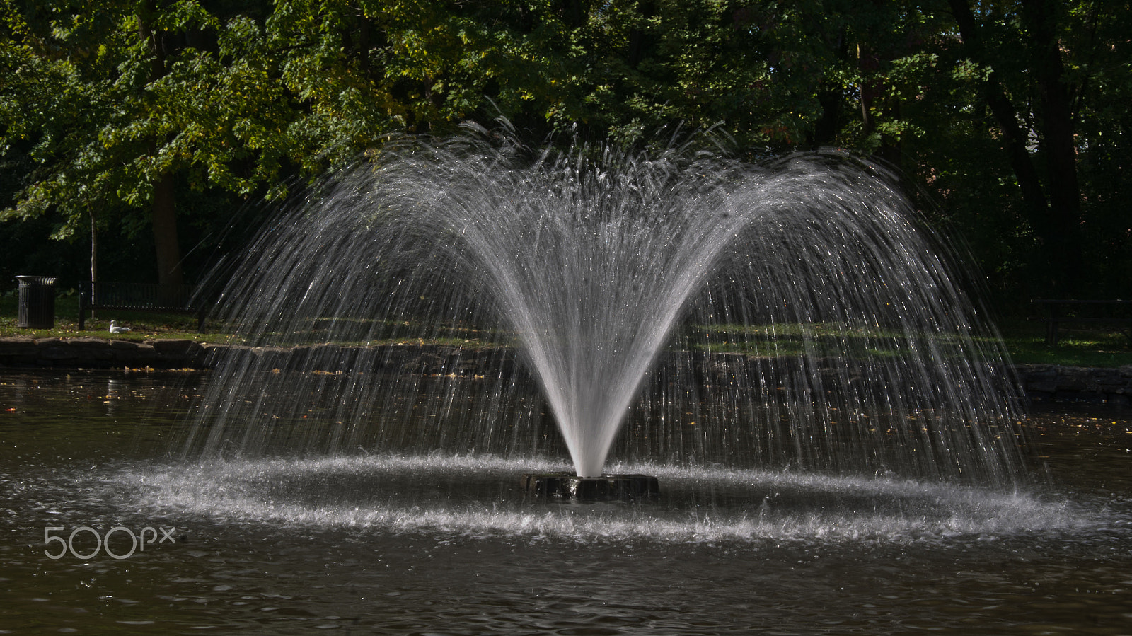 Sony Alpha DSLR-A330 sample photo. Splash photography