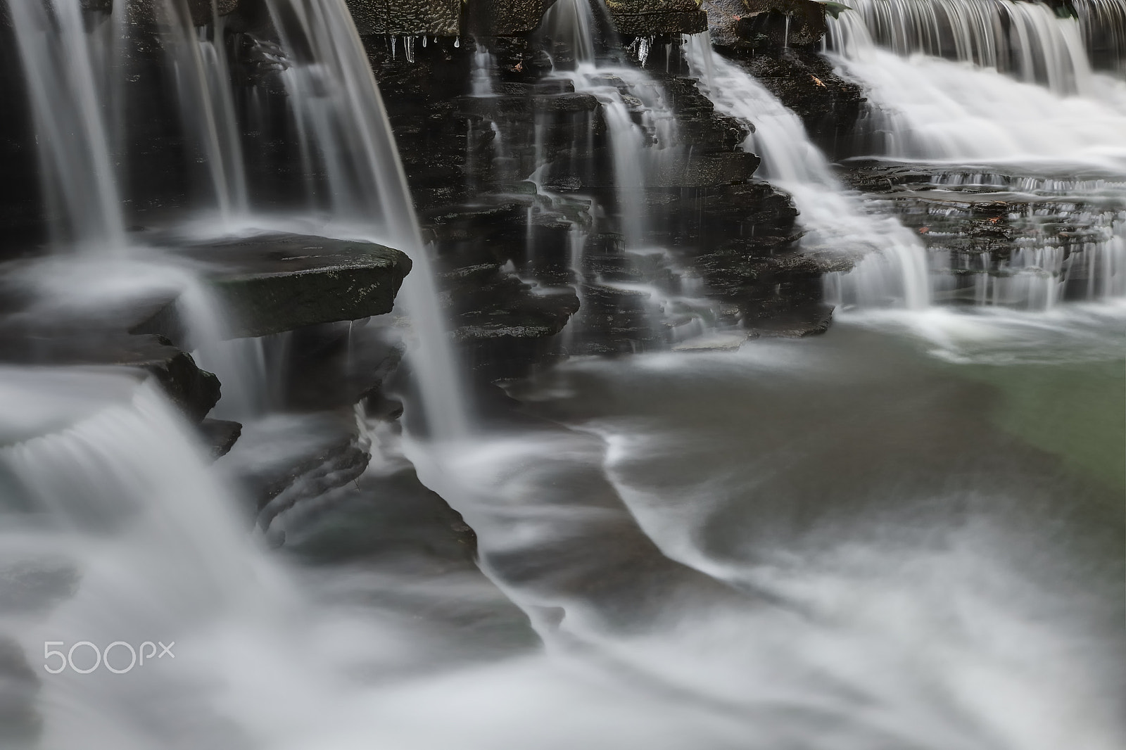 Nikon D3X sample photo. Finer details photography