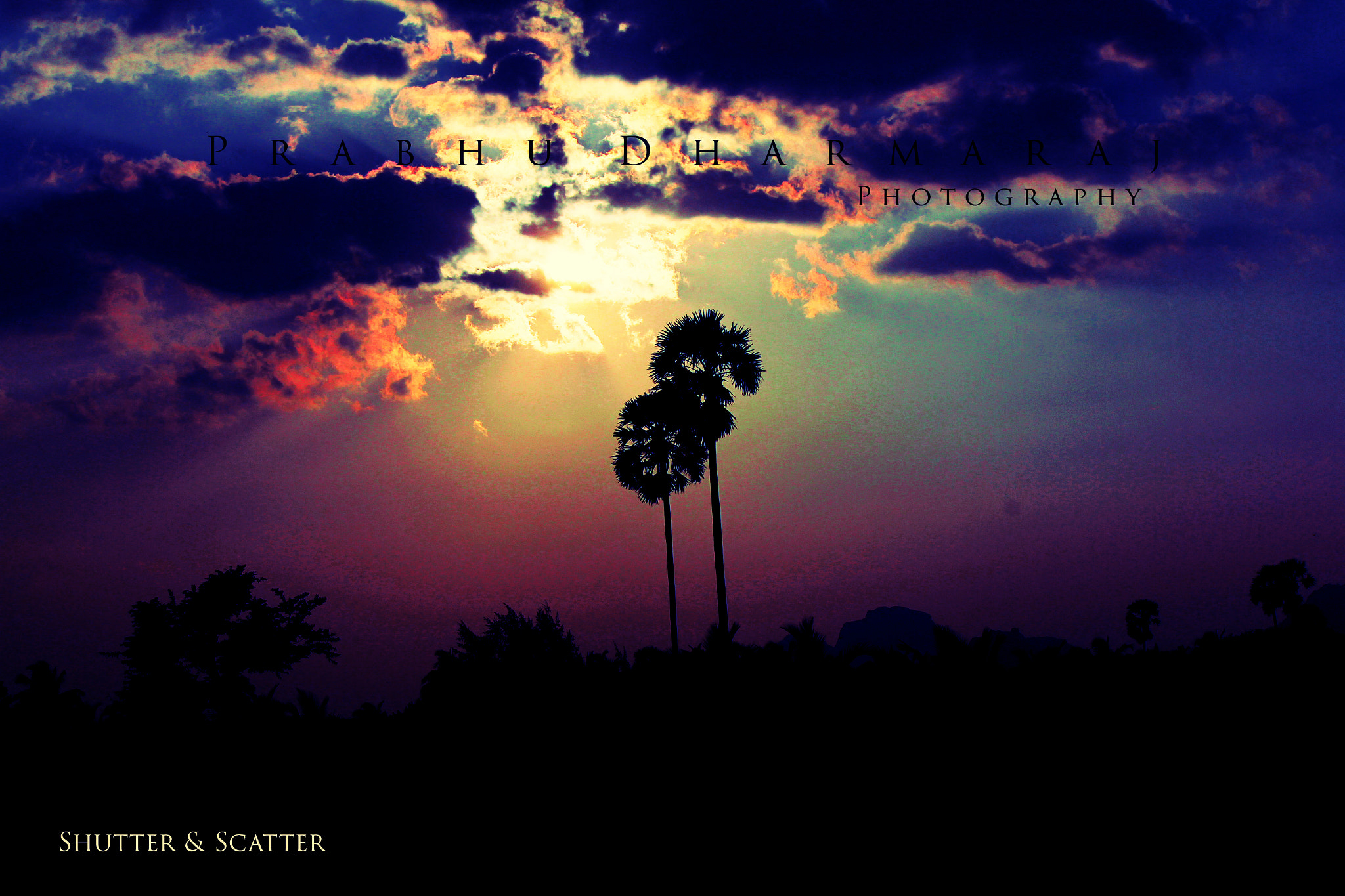 IS II sample photo. The sun behind the palm trees photography