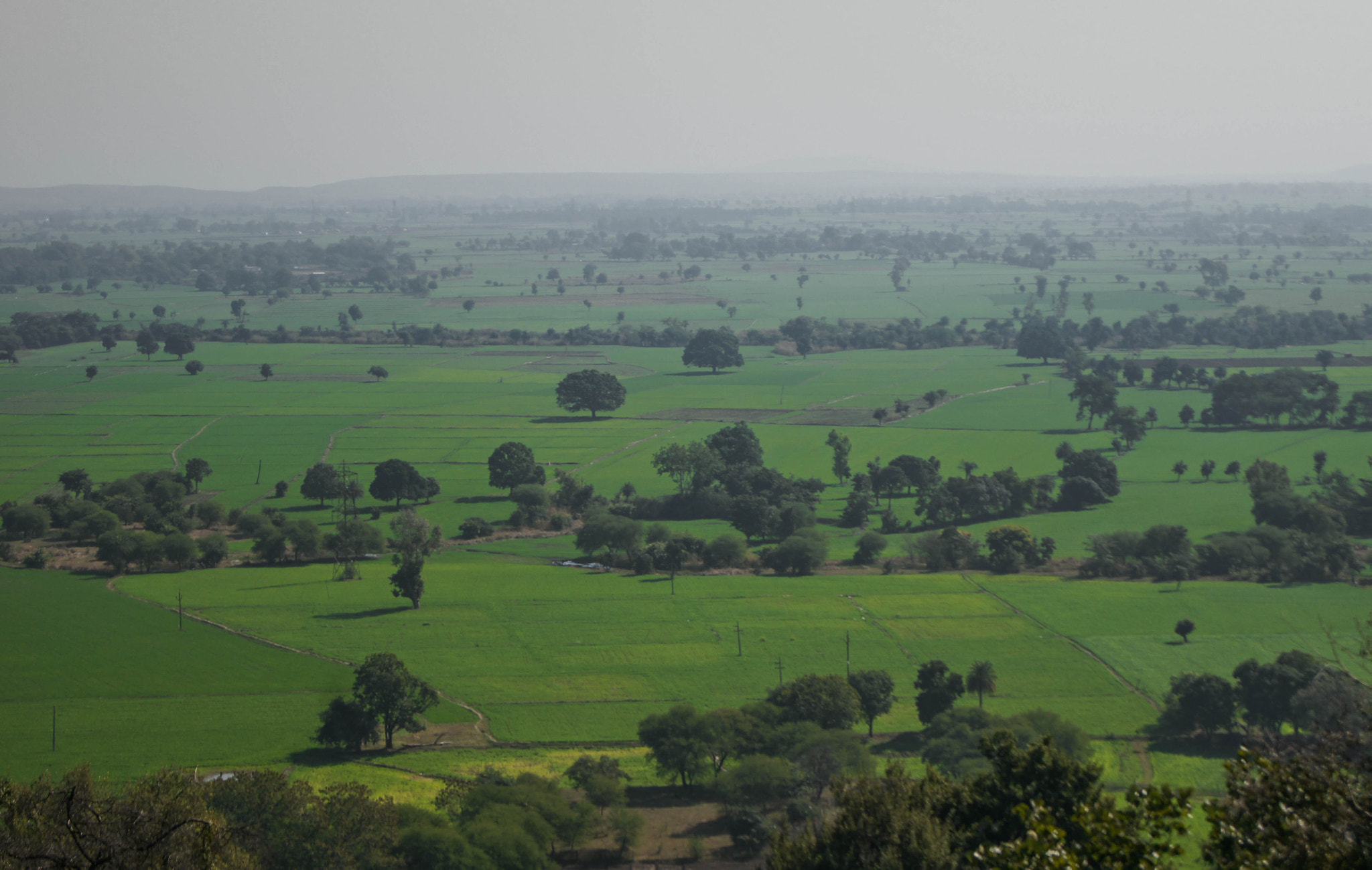 Sony Alpha DSLR-A580 sample photo. Plain surrounding sanchi photography