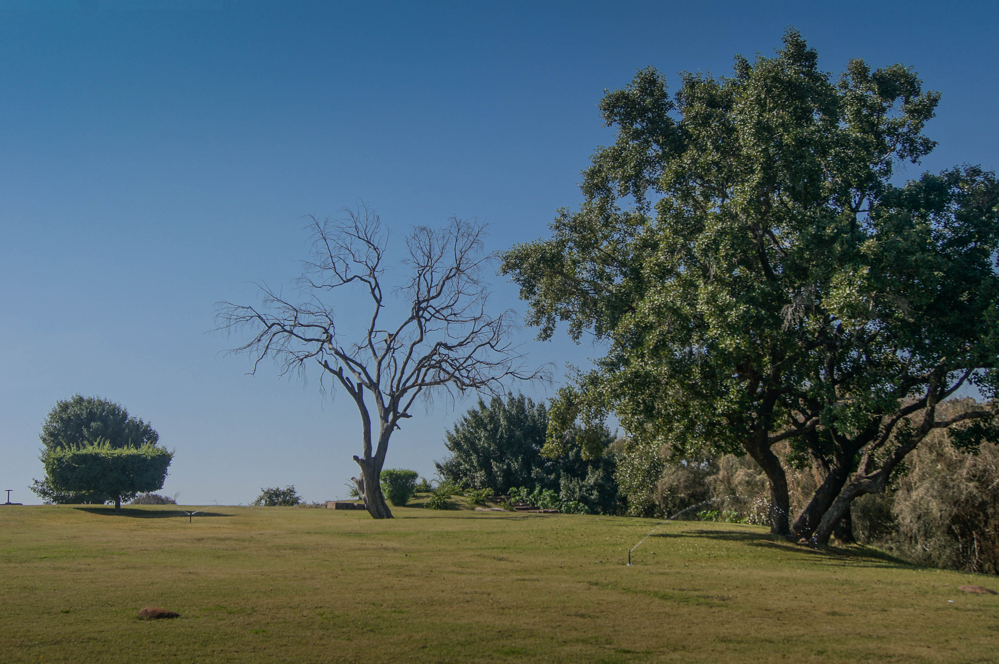 Sony Alpha DSLR-A580 sample photo. Garden around the great stupa in sanchi photography
