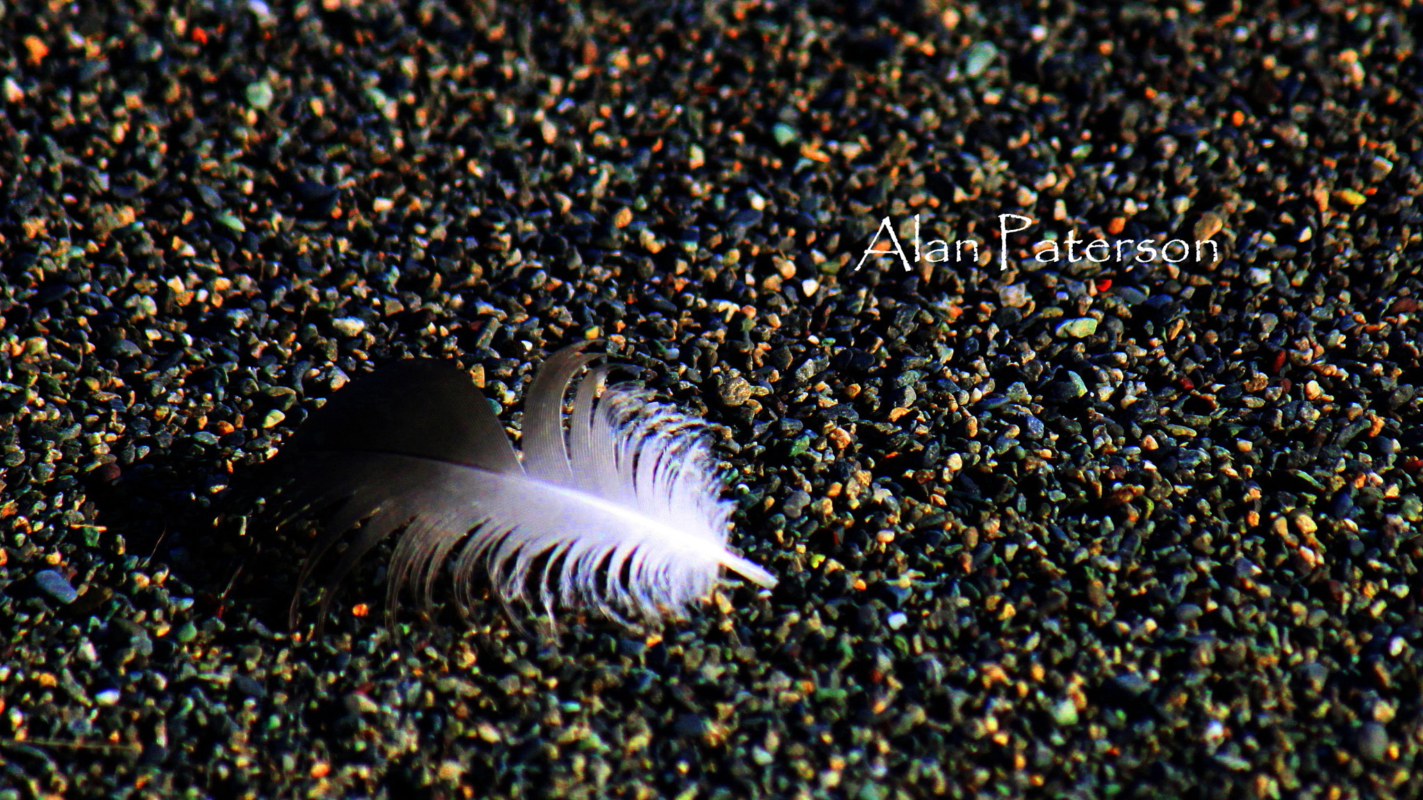 Canon EF-S 55-250mm F4-5.6 IS sample photo. Flight of the icarus photography
