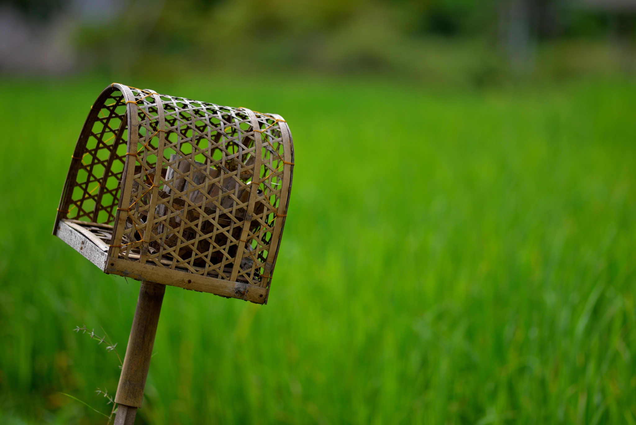 Nikon D750 + Nikon AF Nikkor 180mm F2.8D ED-IF sample photo. Offerings for deity photography