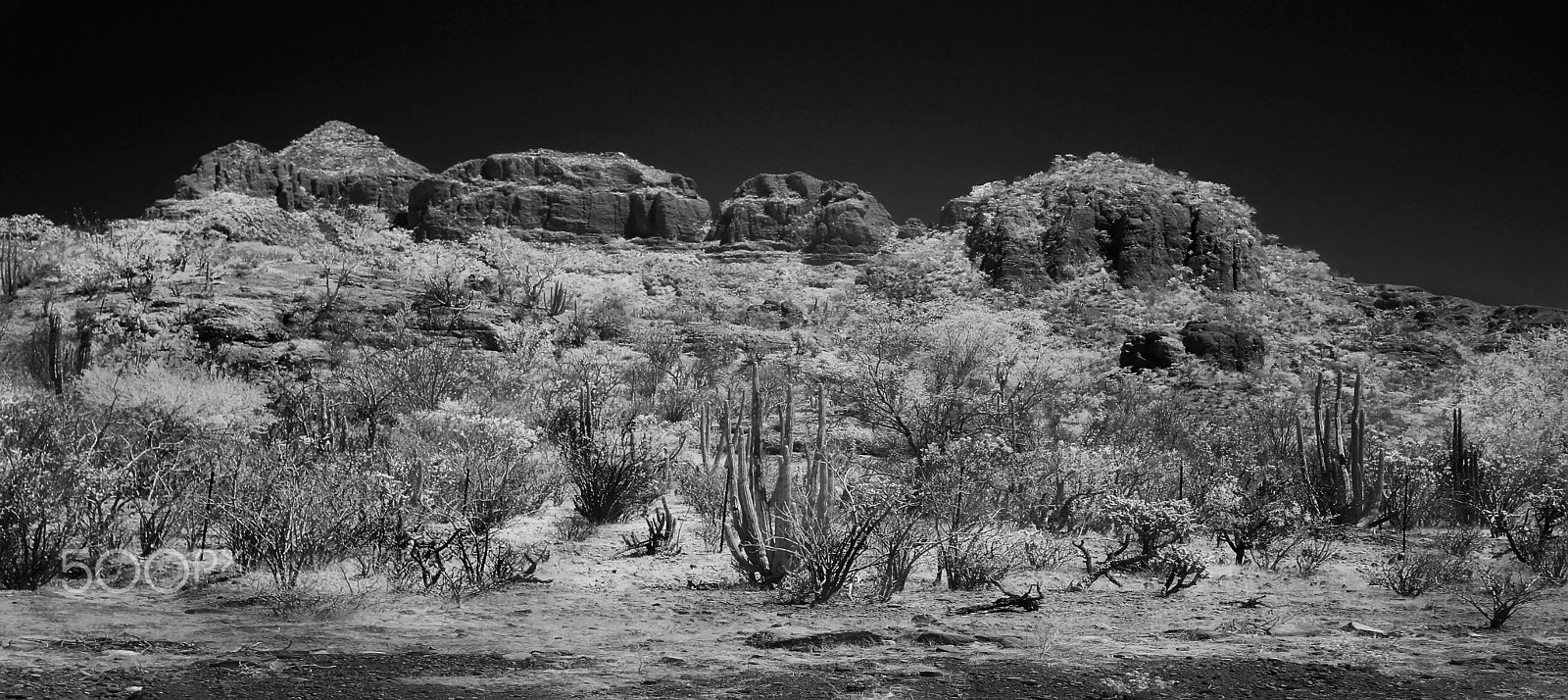 Sony SLT-A55 (SLT-A55V) + Sony DT 35mm F1.8 SAM sample photo. Baja's desert landscape photography