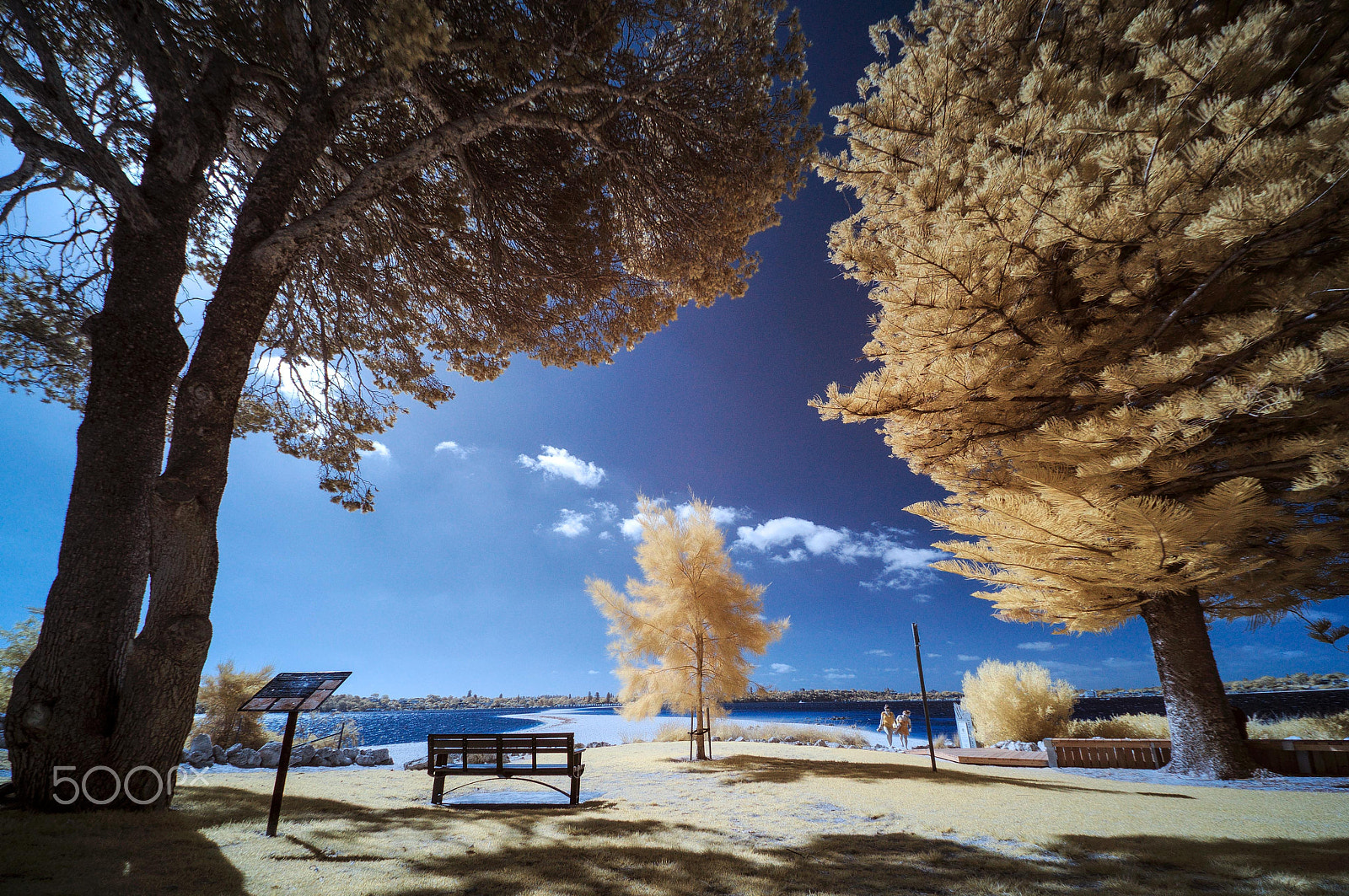 Sigma 8-16mm F4.5-5.6 DC HSM sample photo. The spit photography