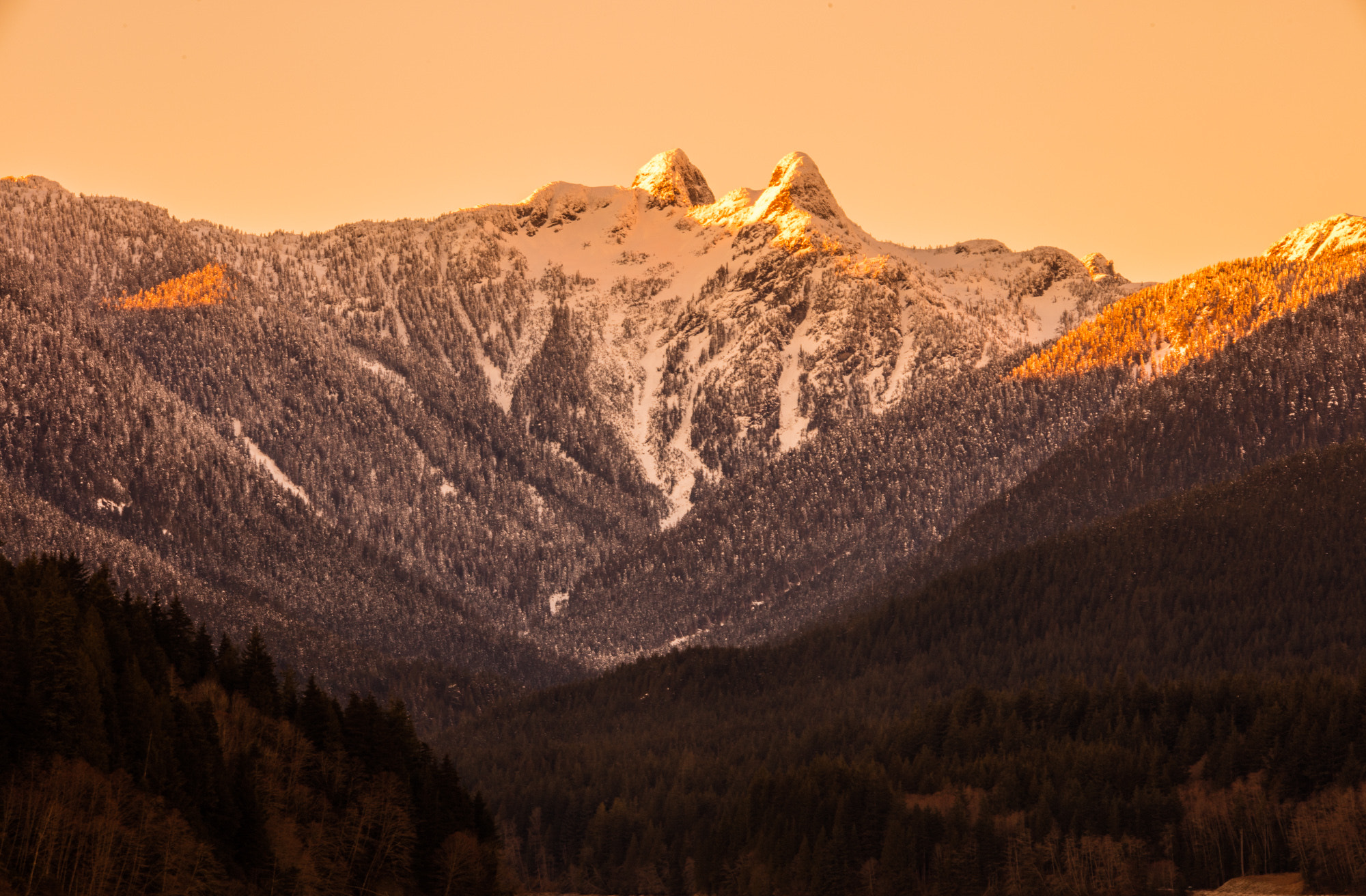 Sigma 150-500mm F5-6.3 DG OS HSM sample photo. The lions at sunset photography