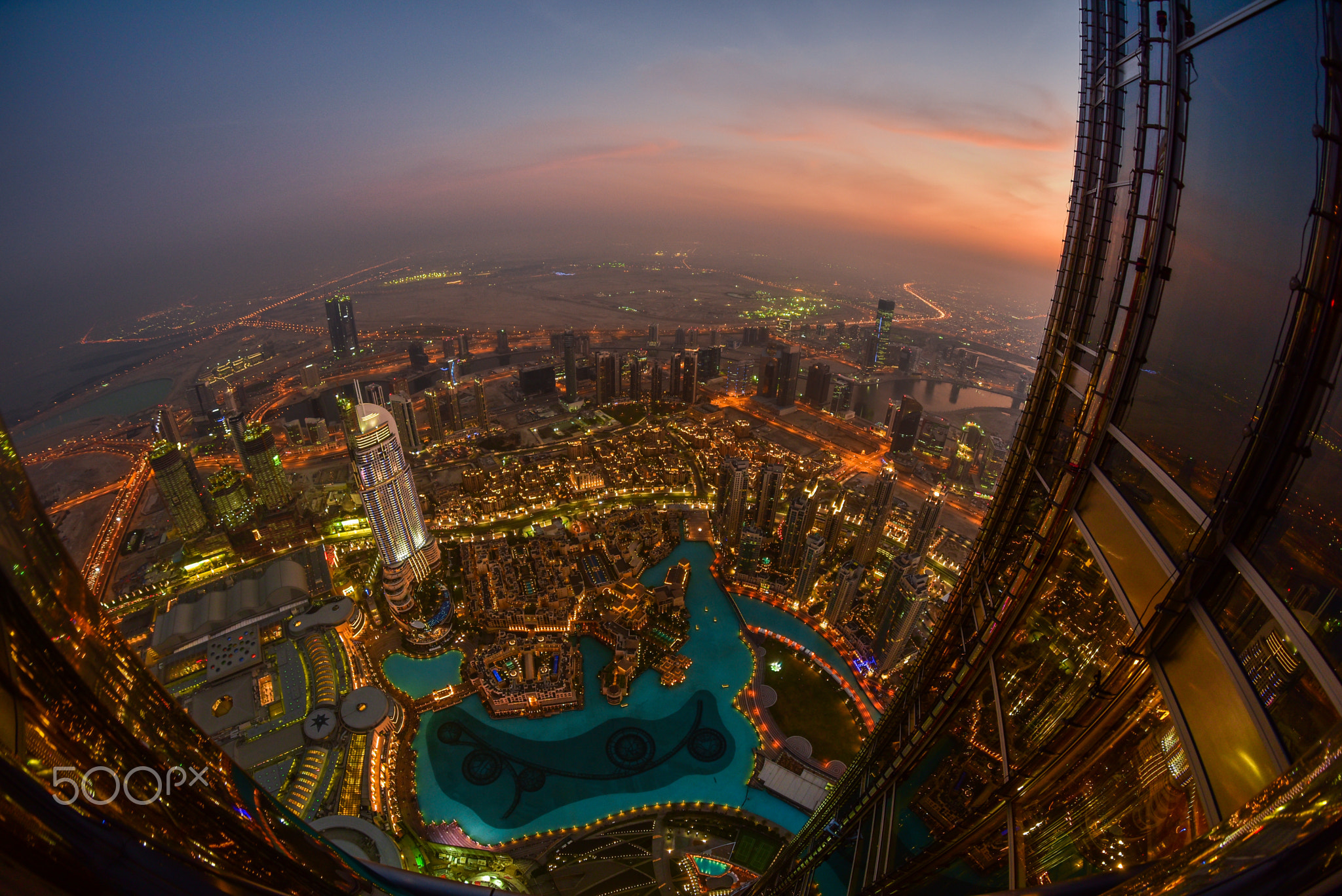 The View