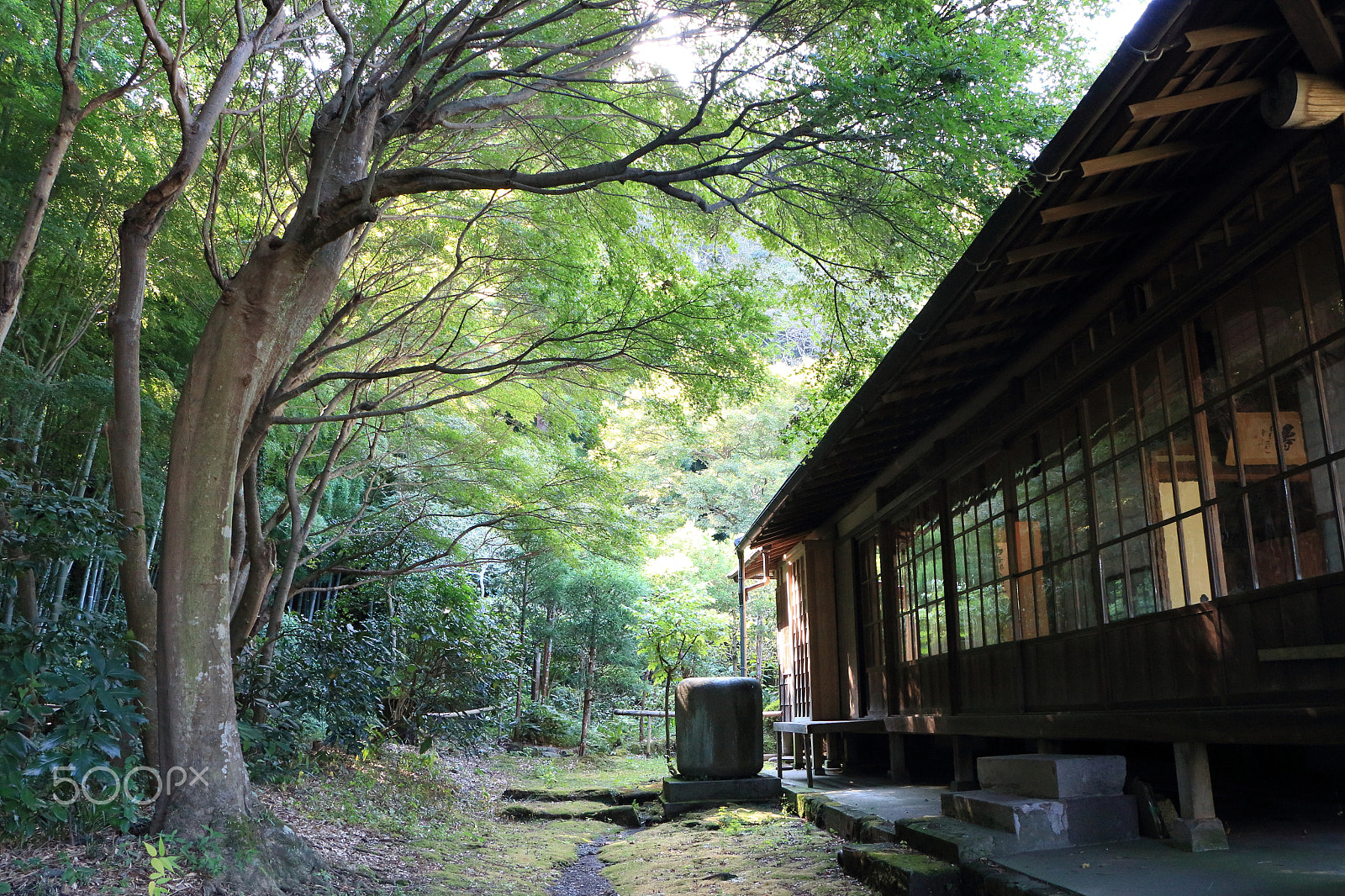 Canon EOS 700D (EOS Rebel T5i / EOS Kiss X7i) sample photo. Forest and tea house photography