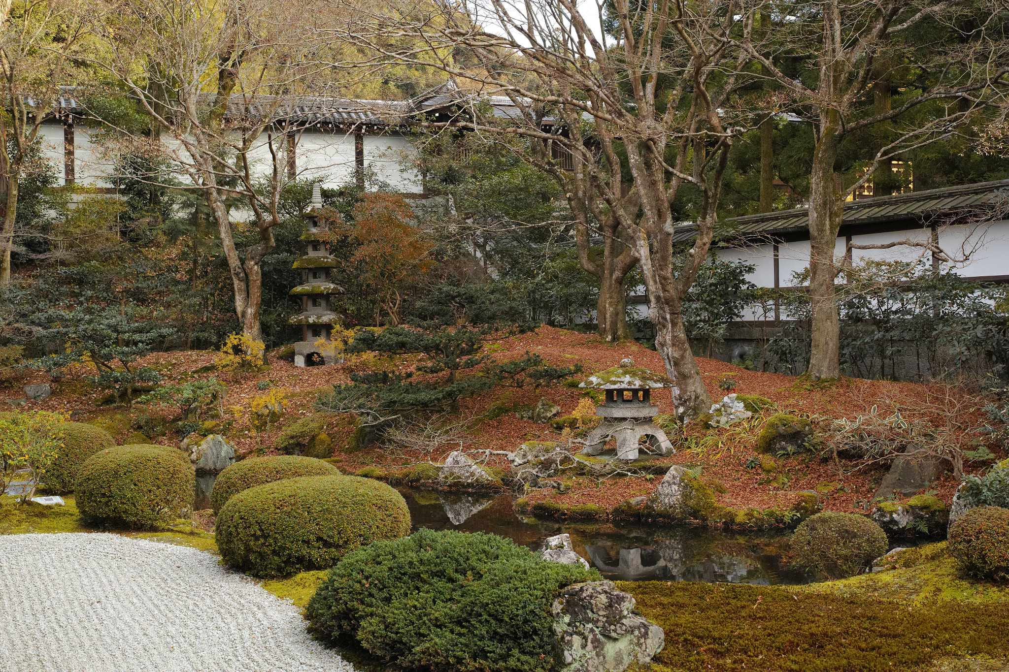 Sigma dp2 Quattro + 1007 sample photo. Early winter garden photography
