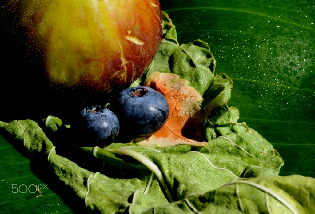 Nikon D300S sample photo. Positano - nature morte 09 (harmony) photography