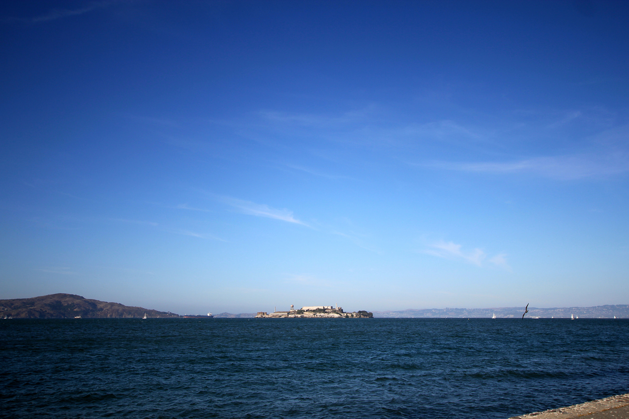Canon EOS 550D (EOS Rebel T2i / EOS Kiss X4) sample photo. San francisco, ca 2011 photography