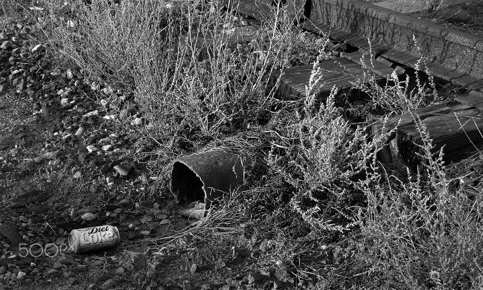 Fujifilm FinePix S1 Pro sample photo. Out the drain photography