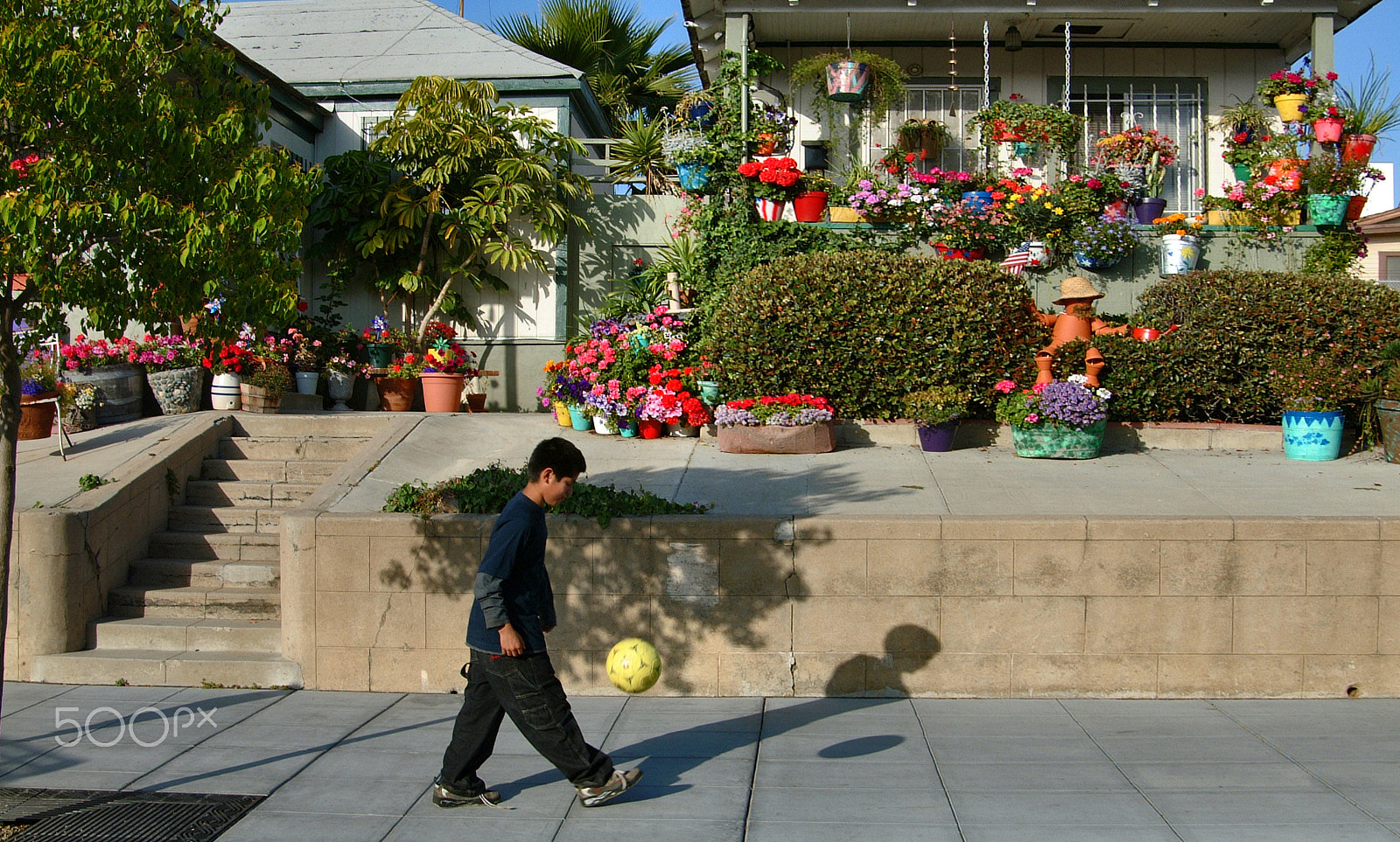 Fujifilm FinePix S1 Pro sample photo. Colorfull neighborhood photography