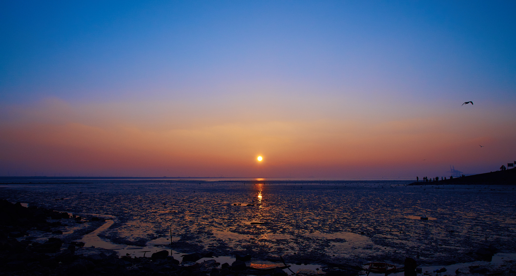 Sony SLT-A58 + DT 17-50mm F2.8 sample photo. 2015.12.31 sun set. photography