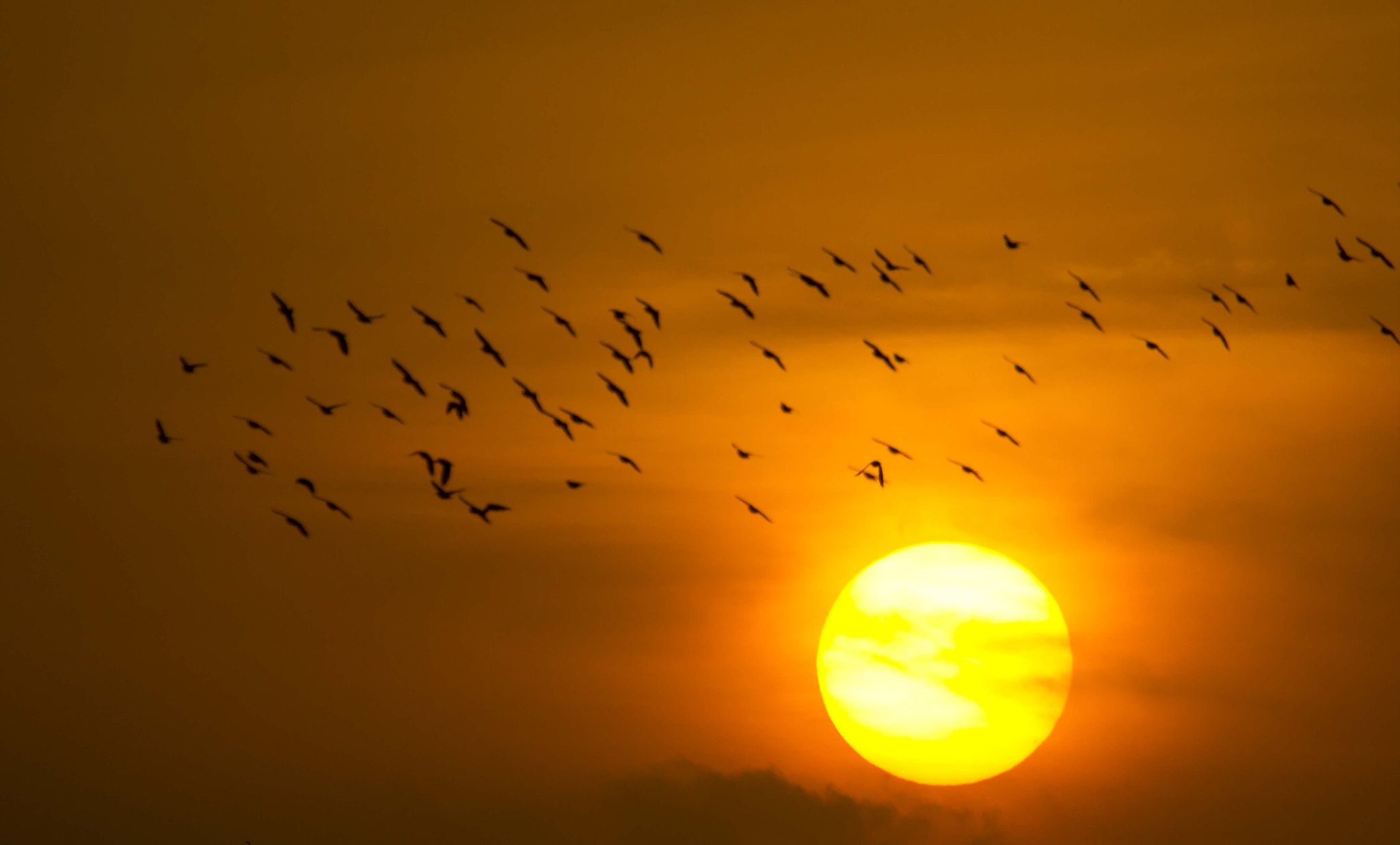 Canon EF 100-400mm F4.5-5.6L IS USM sample photo. Sunset photography