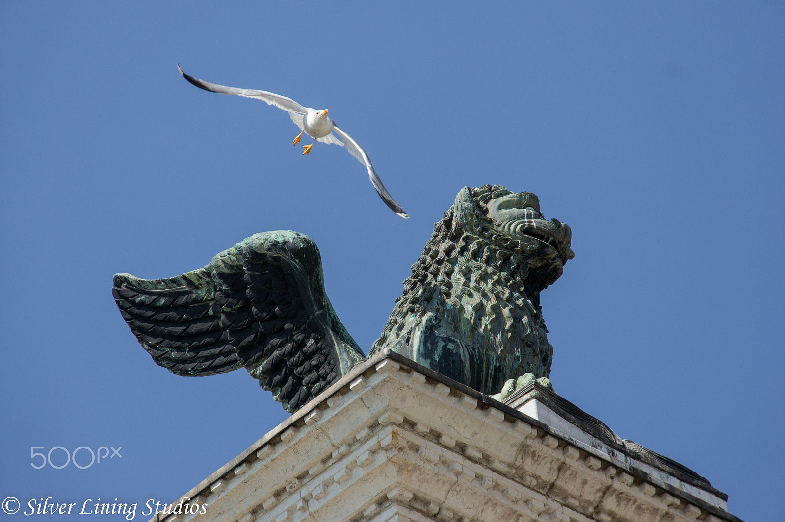 Sony Alpha NEX-3 sample photo. Venice 2015 photography