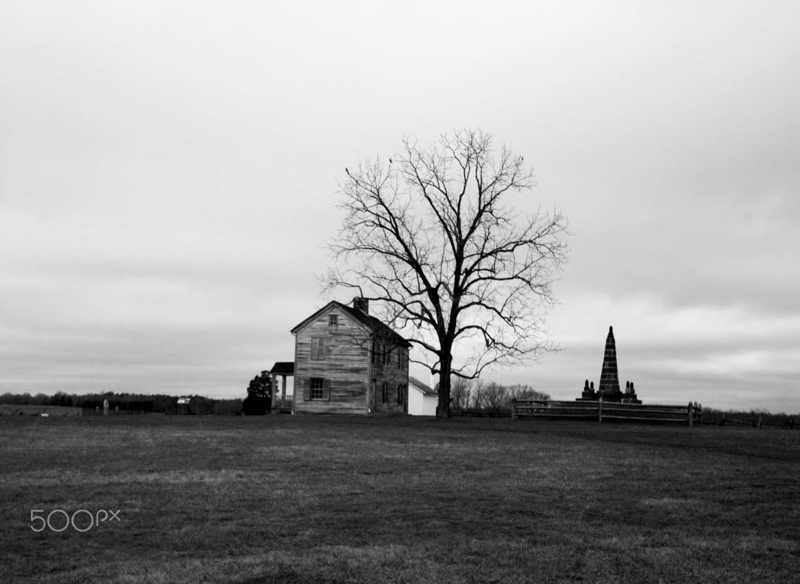 Sigma 10-20mm F3.5 EX DC HSM sample photo. Henry hill house photography