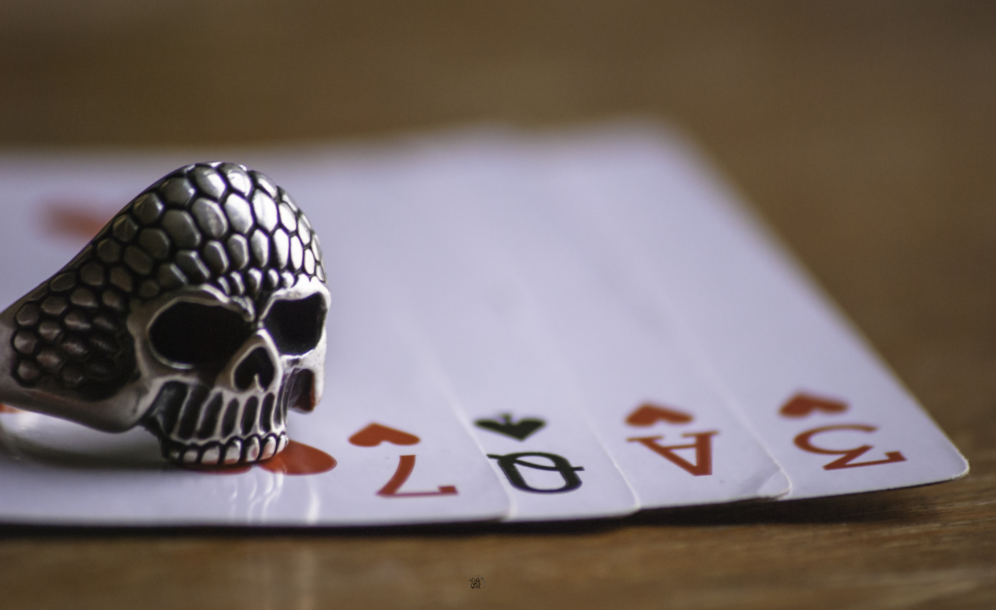 Sigma 70-300mm F4-5.6 APO DG Macro sample photo. Love & skull photography