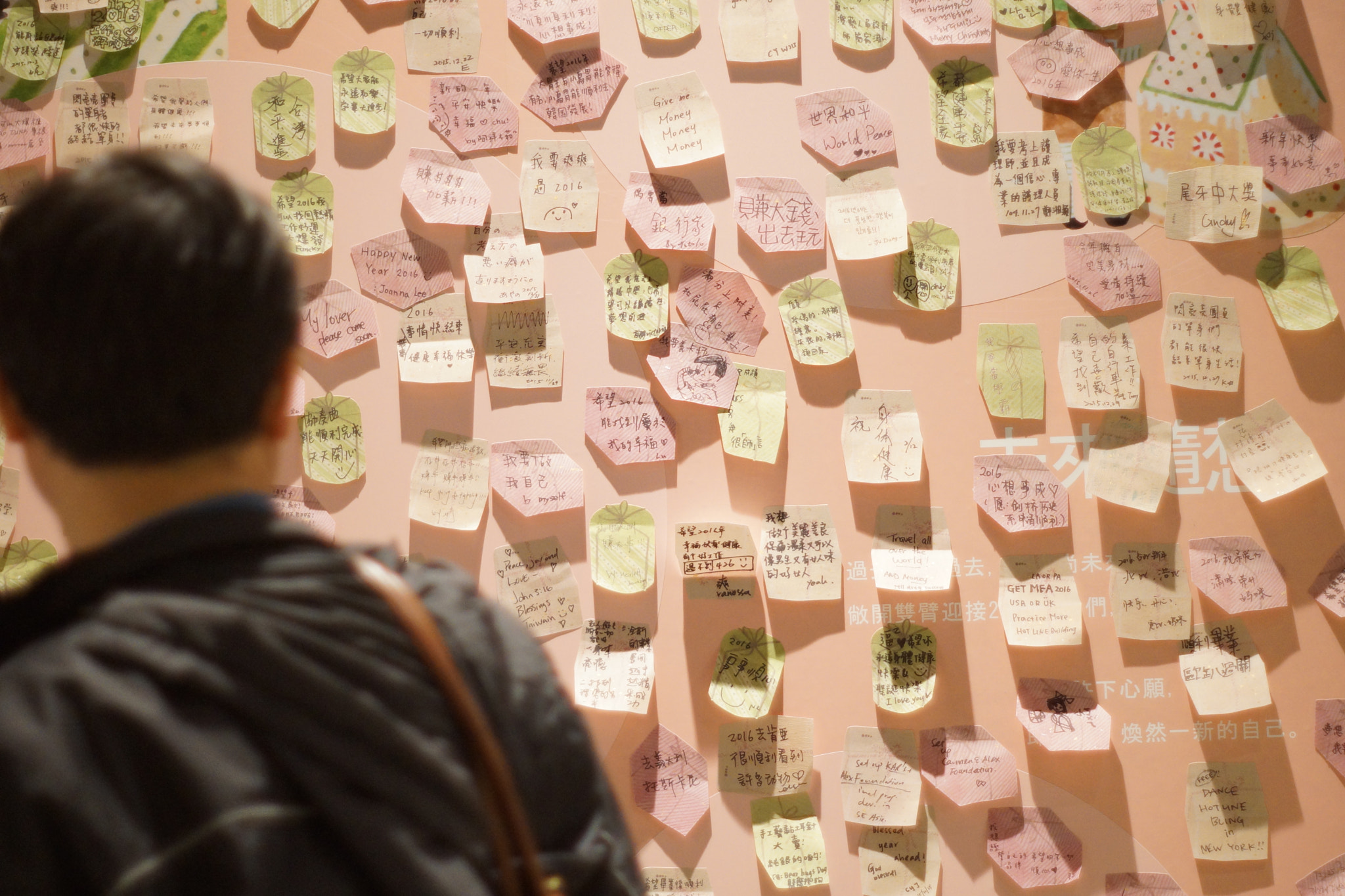 Sony SLT-A77 + Sony 50mm F1.4 sample photo. A person looking at a sticky notes wall photography