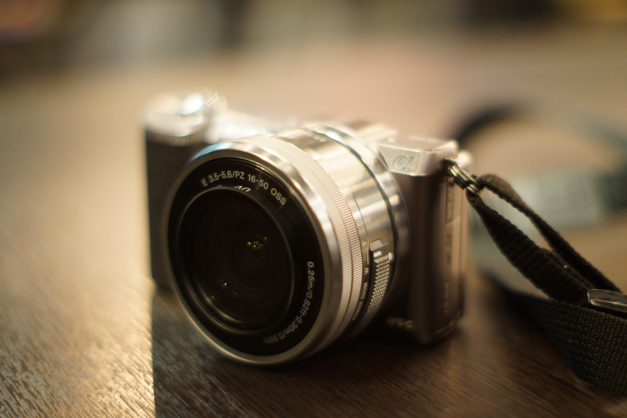 Sony SLT-A77 + Sony 50mm F1.4 sample photo. Silver sony alpha s5100 photography
