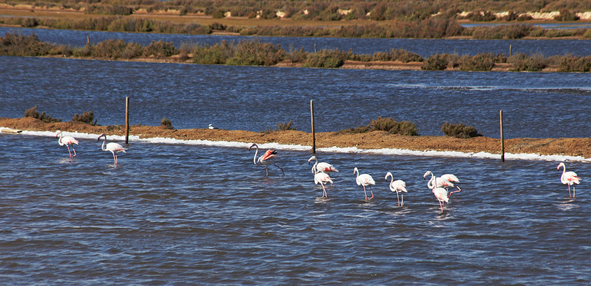 Canon EF 75-300mm F4.0-5.6 IS USM sample photo
