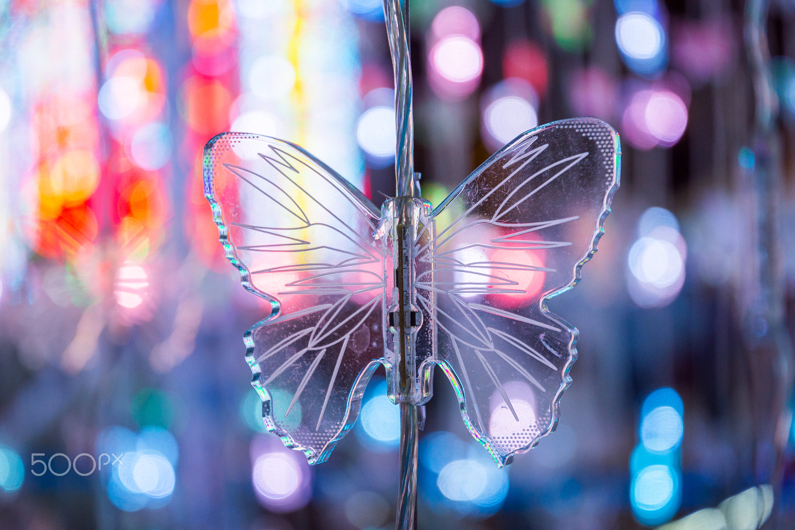 Nikon D7200 + AF-S VR DX 16-80mm f/2.8-4.0E ED sample photo. Butterfly bokeh photography