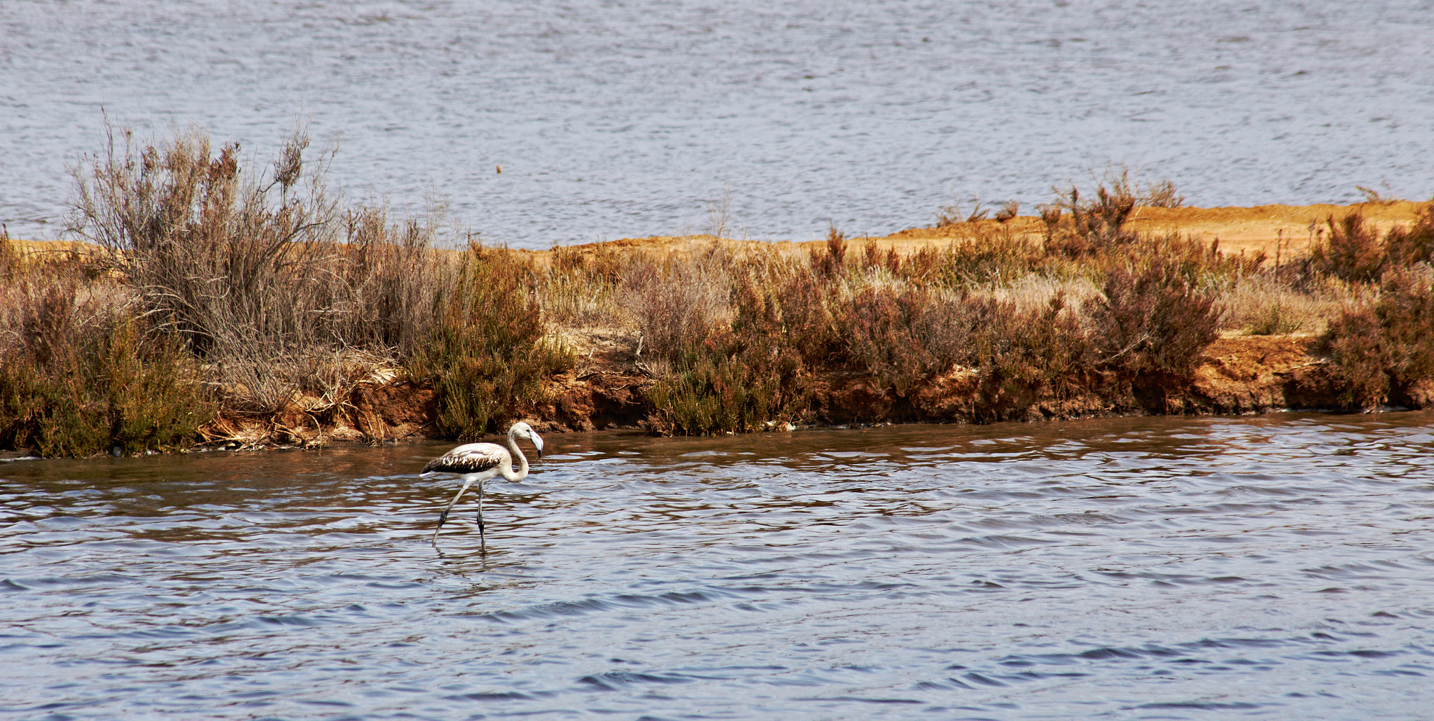 Canon EF 75-300mm F4.0-5.6 IS USM sample photo