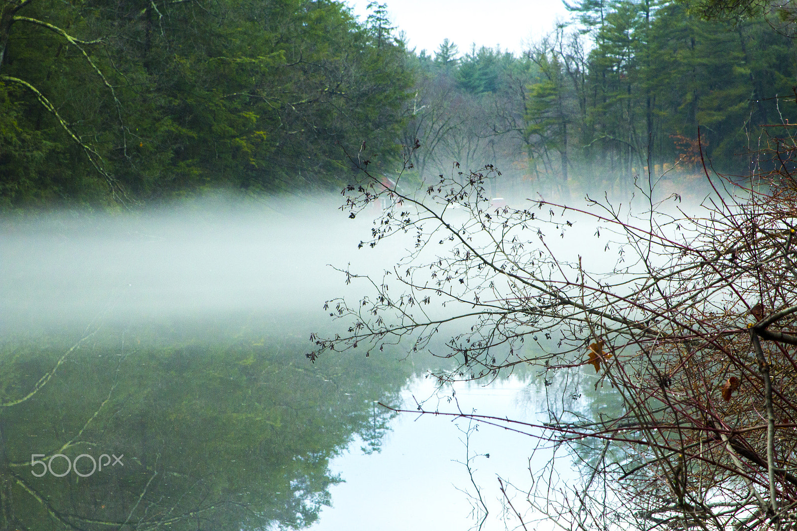 Canon EF 28-105mm f/3.5-4.5 USM sample photo. Fog photography