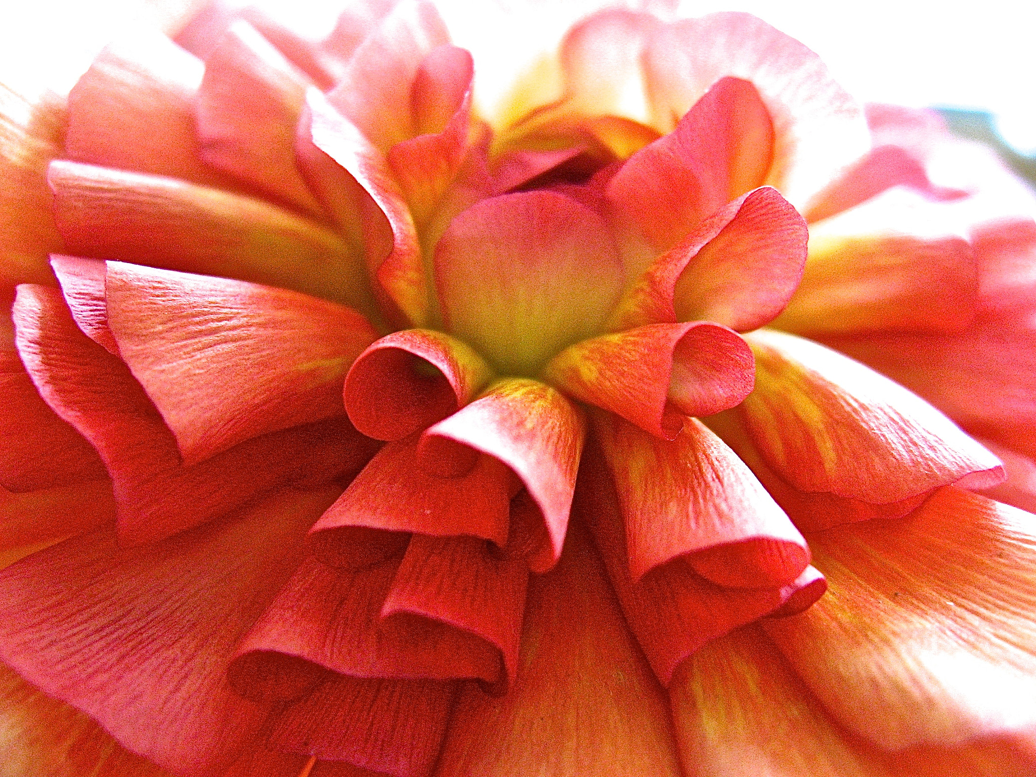 Canon POWERSHOT SD700 IS sample photo. Fold me into your arms photography