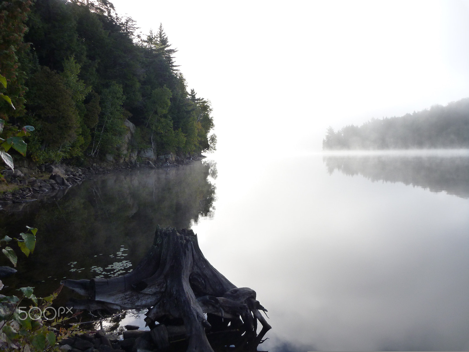 Panasonic DMC-TS2 sample photo. Algonquin park morning photography