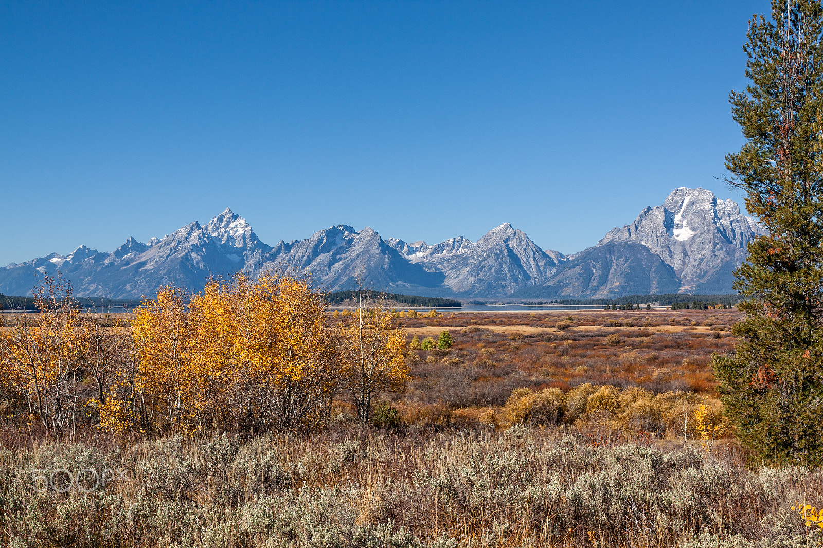 Canon EOS 50D + EF28-70mm f/2.8L USM sample photo. Teton fall landscape photography