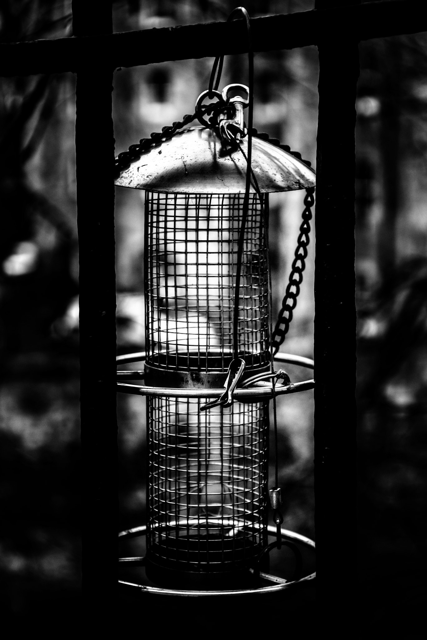 AF Zoom-Nikkor 28-85mm f/3.5-4.5 sample photo. Sound of silence photography
