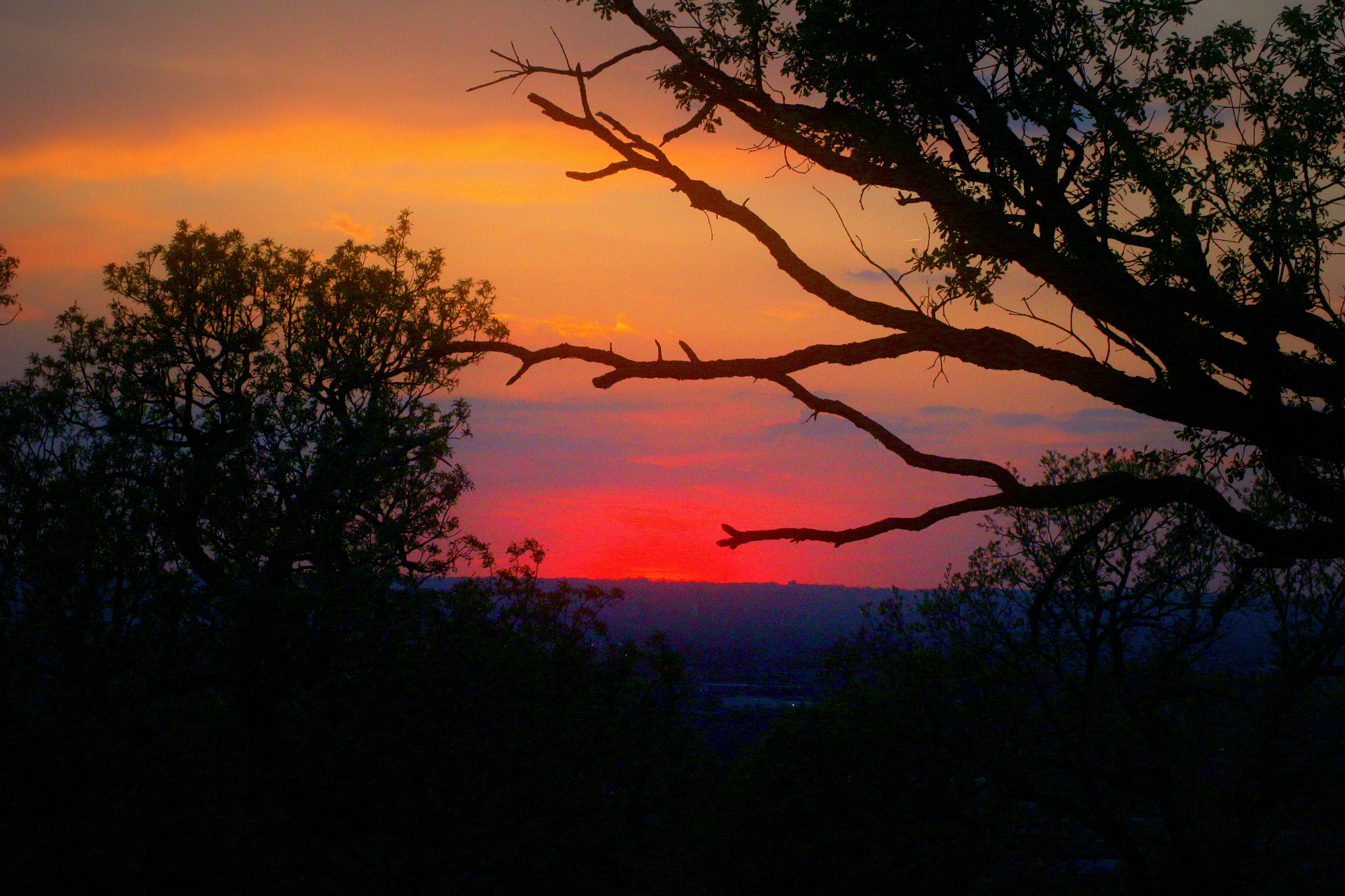 Canon EOS 100D (EOS Rebel SL1 / EOS Kiss X7) sample photo. Heartland sunset photography