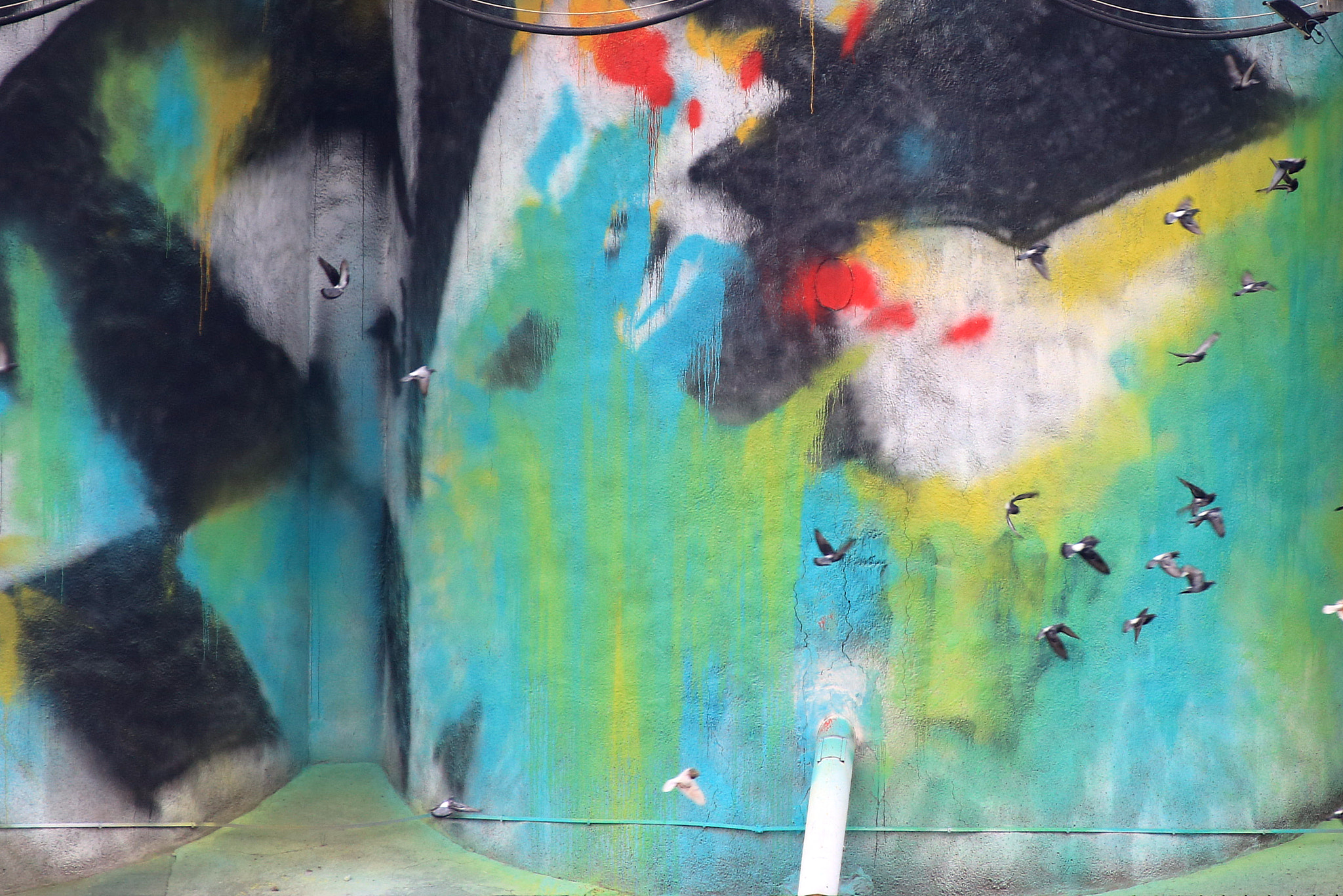 Tamron SP 35mm F1.8 Di VC USD sample photo. Gabbiani e murales photography