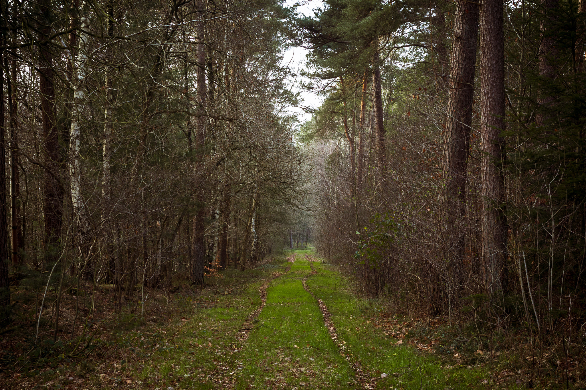 EF28-70mm f/2.8L USM sample photo. Der weg photography