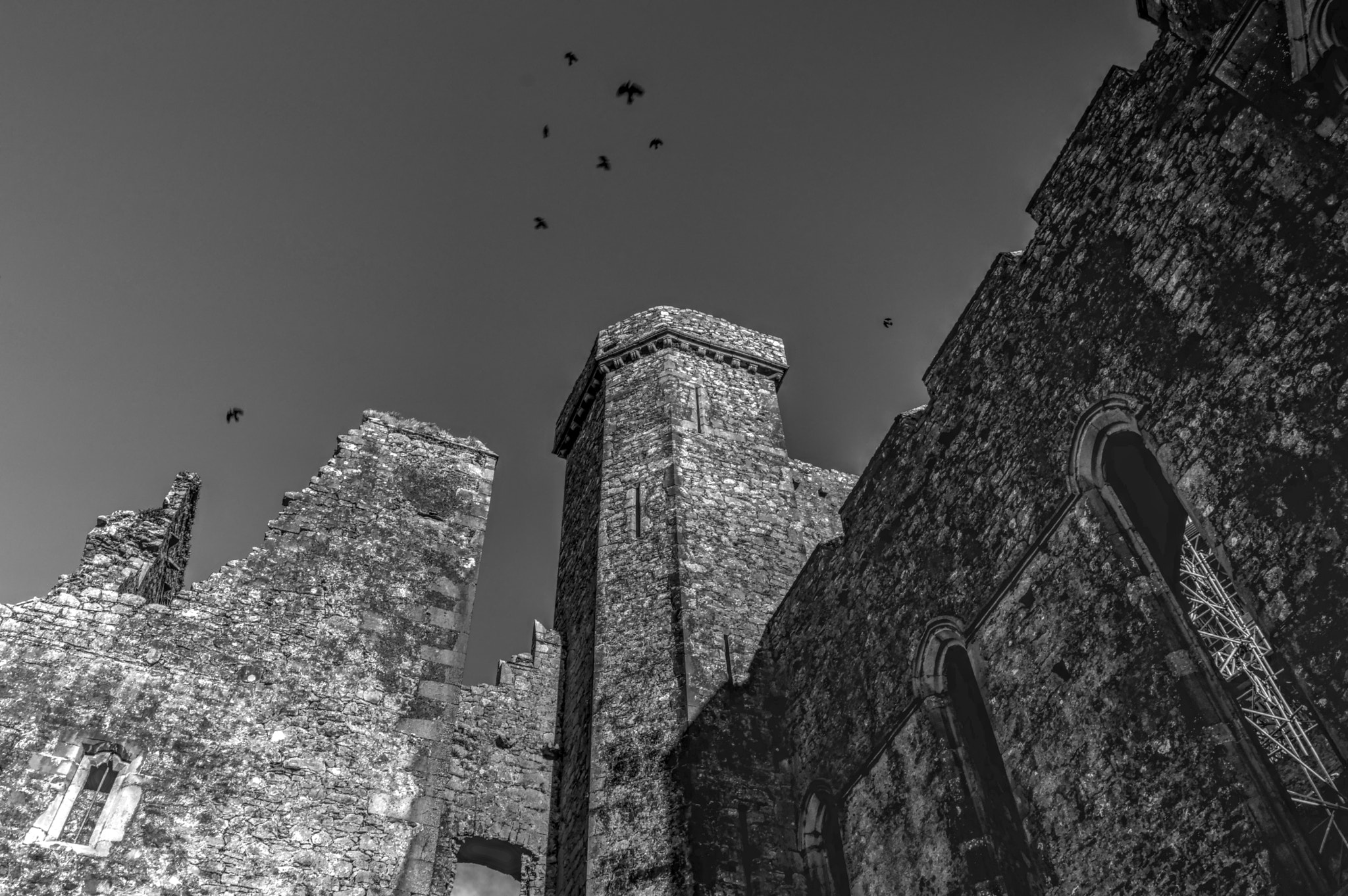 Nikon D3200 + 18.00 - 55.00 mm f/3.5 - 5.6 sample photo. Cashel castle, ireland photography