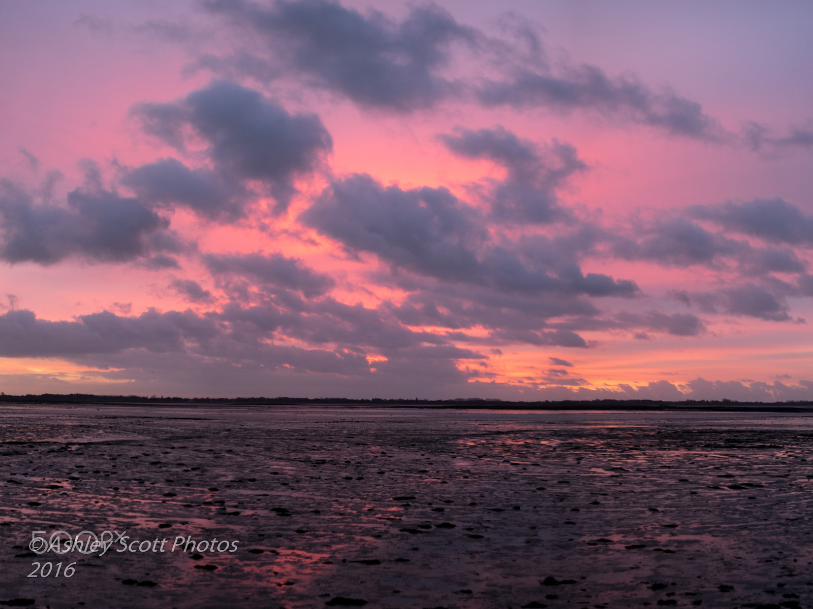 Sony a7 + Minolta AF 50mm F1.7 sample photo. Farlington marshes photography