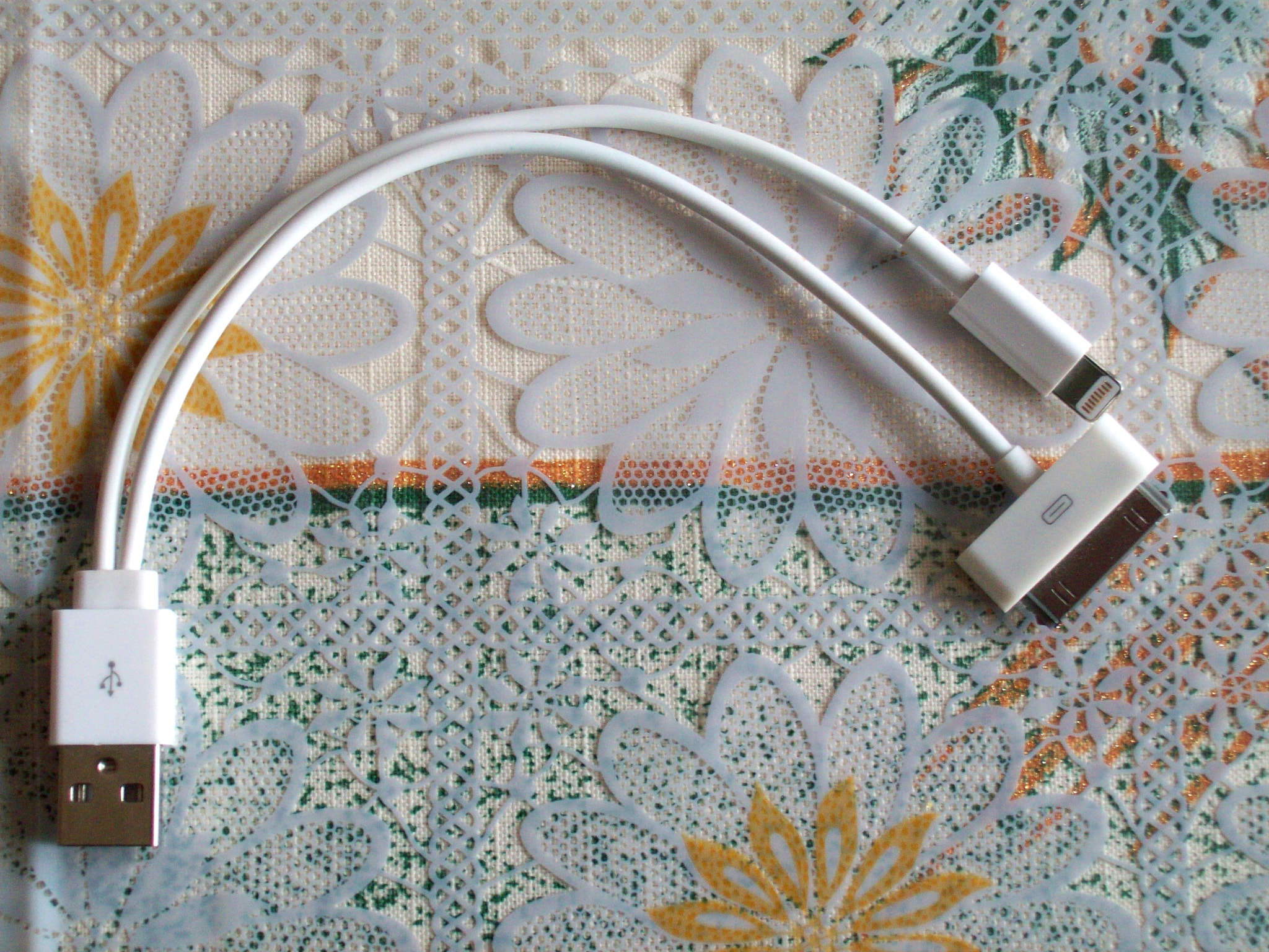 Kodak EASYSHARE C813 ZOOM DIGITAL CAMERA sample photo. Apple-like double cable photography