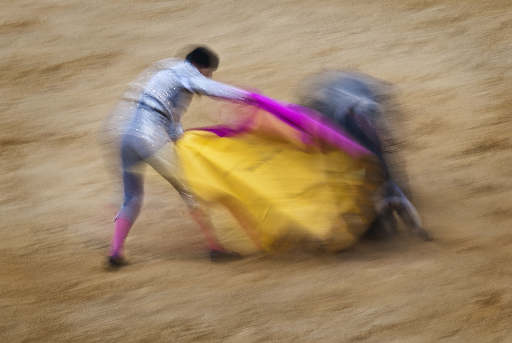 Sigma 150-500mm F5-6.3 DG OS HSM sample photo. Capotazo photography